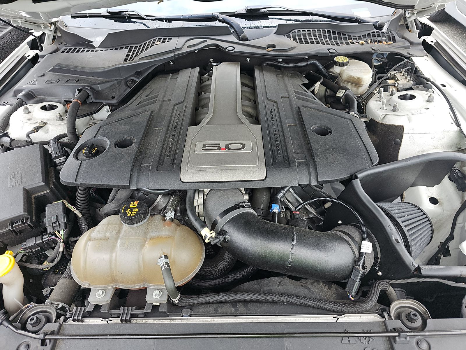 2019 Ford Mustang GT RWD