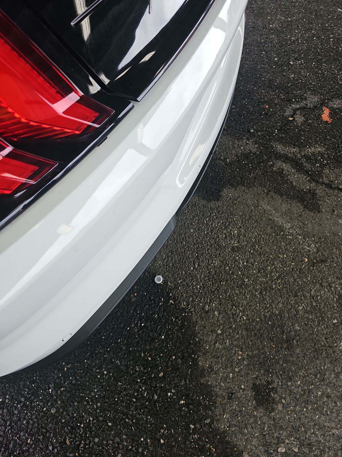 2019 Ford Mustang GT RWD