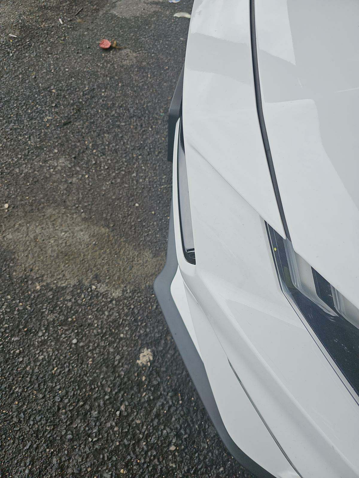 2019 Ford Mustang GT RWD