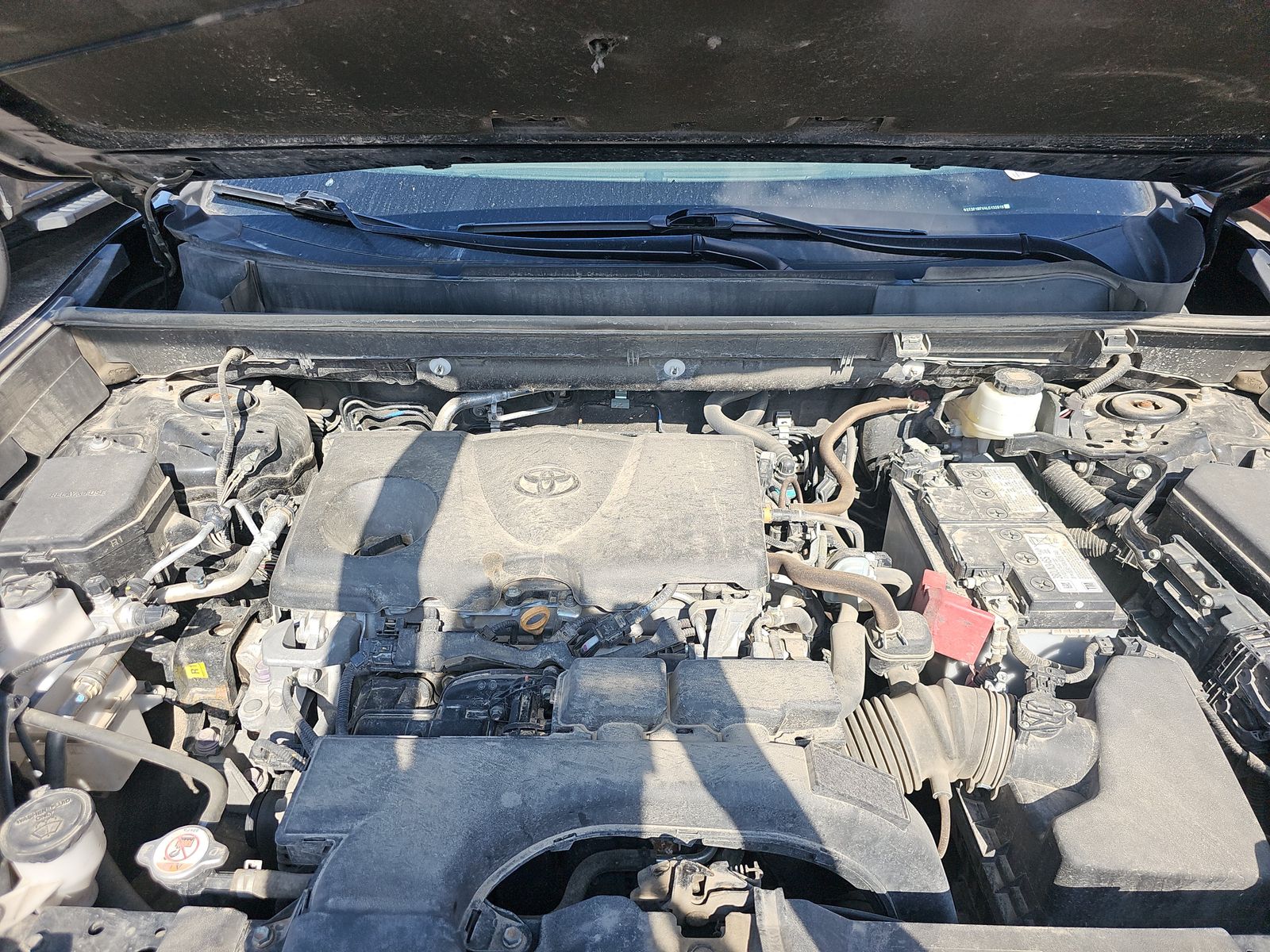 2020 Toyota RAV4 XLE AWD