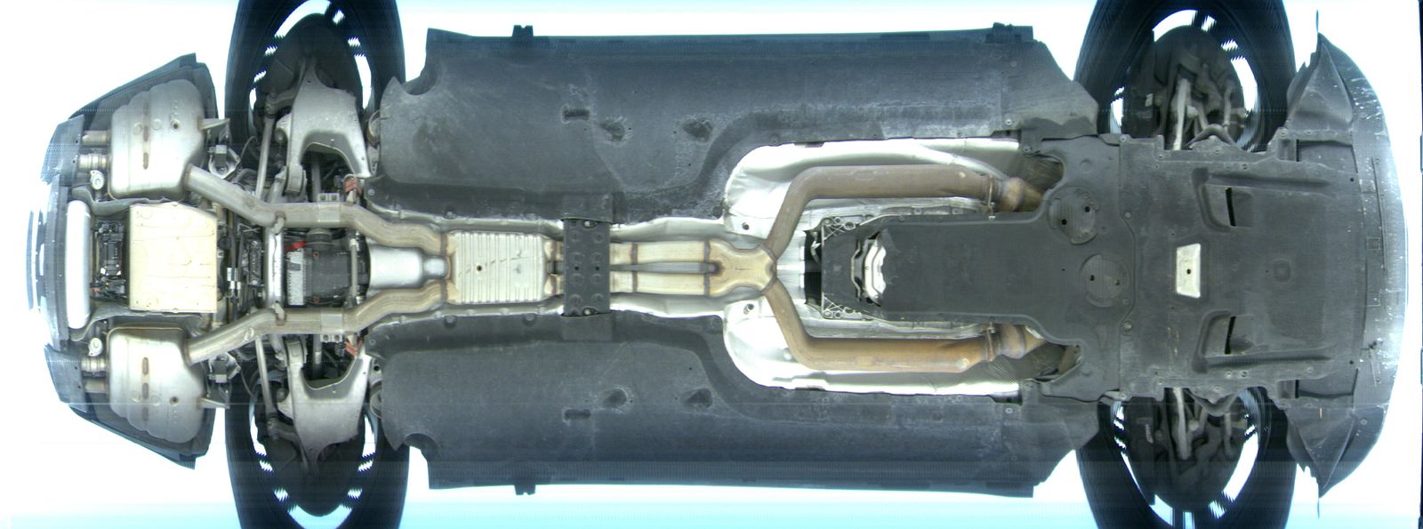Nuotrauka 25