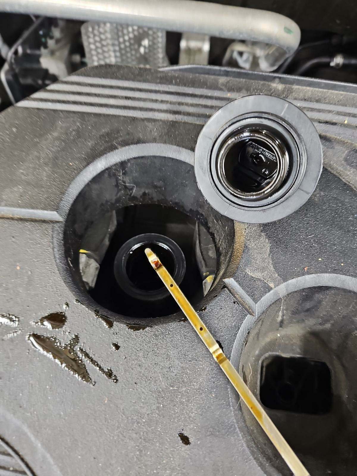 2021 Nissan Rogue SL FWD