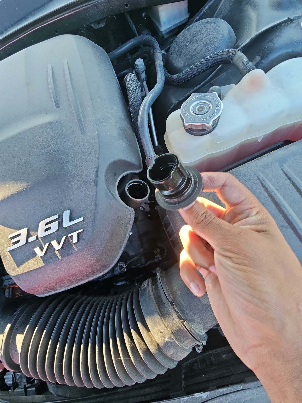 2019 Dodge Charger SXT RWD