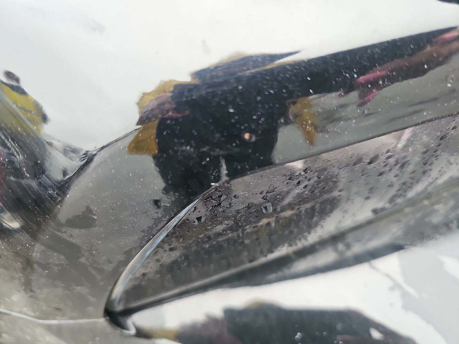 2013 Ford Mustang GT RWD