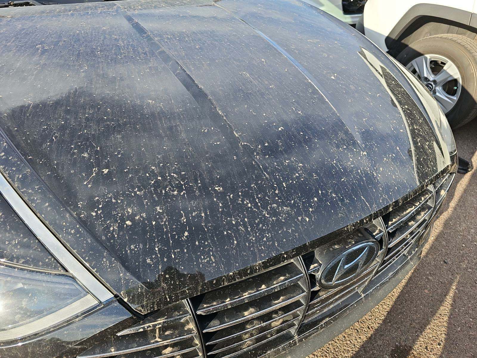 2020 Hyundai Sonata SE FWD