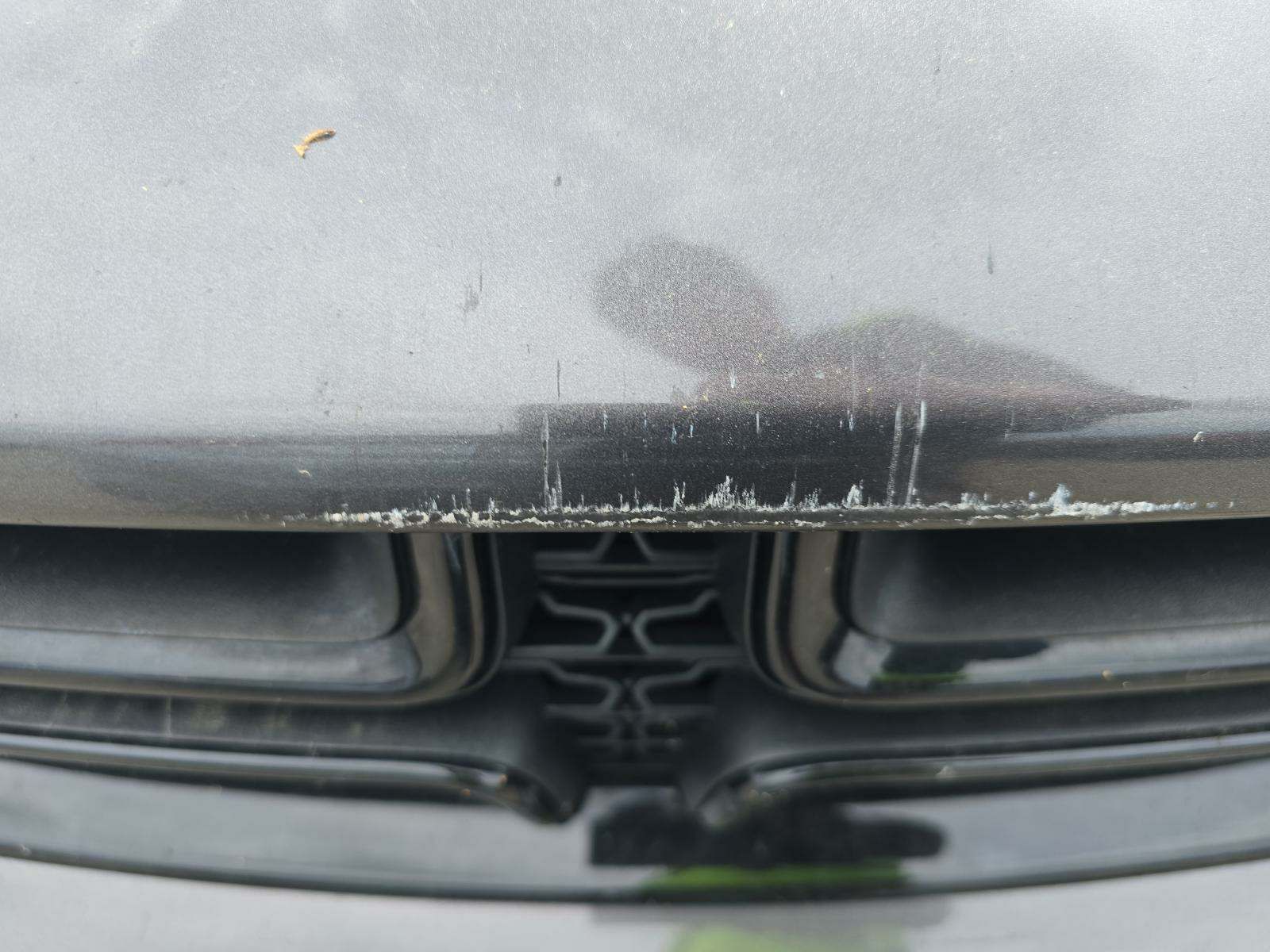 2019 Dodge Charger SXT RWD