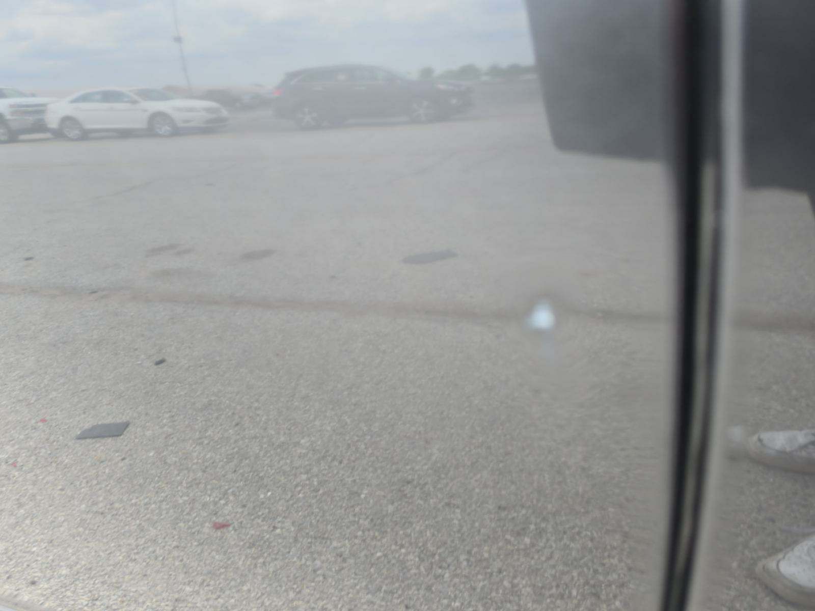 2019 Dodge Charger SXT RWD