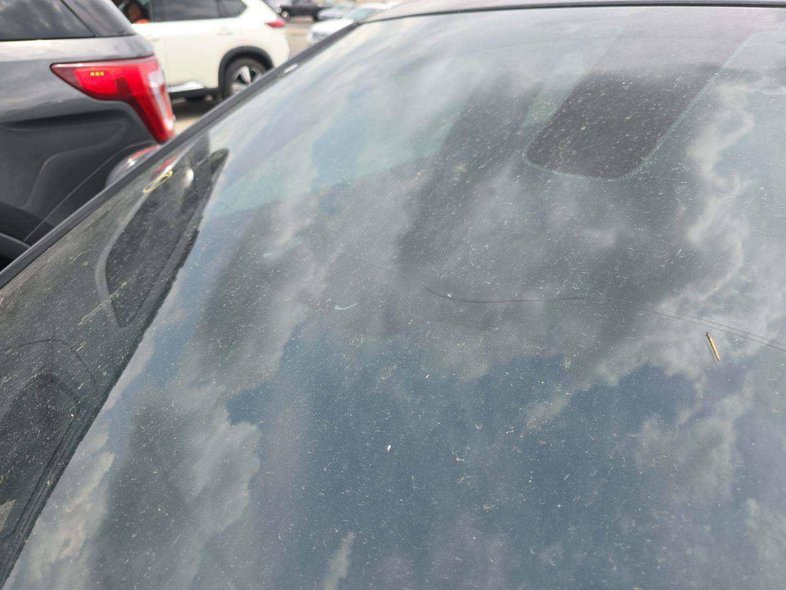 2019 Dodge Charger SXT RWD