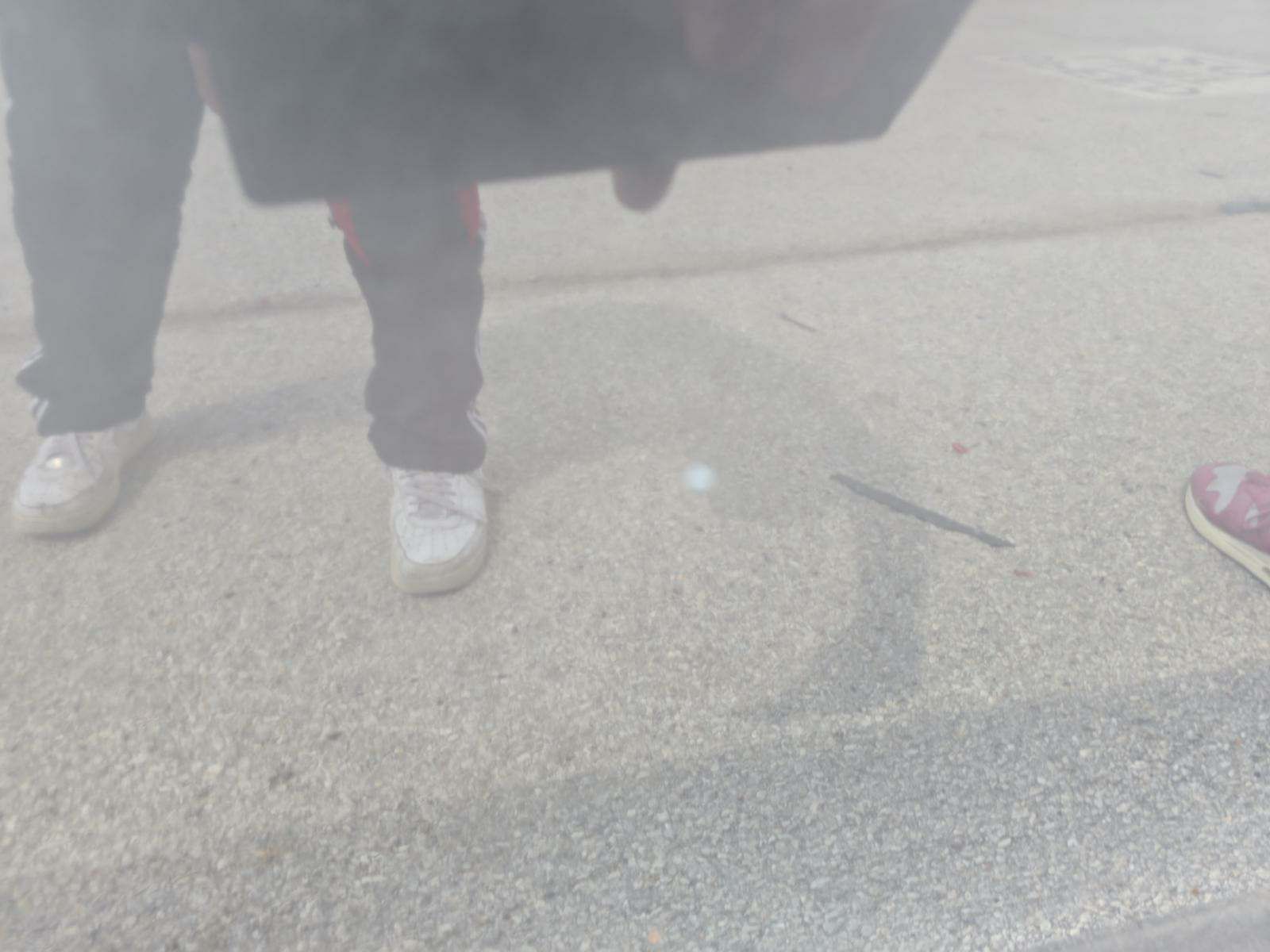 2019 Dodge Charger SXT RWD