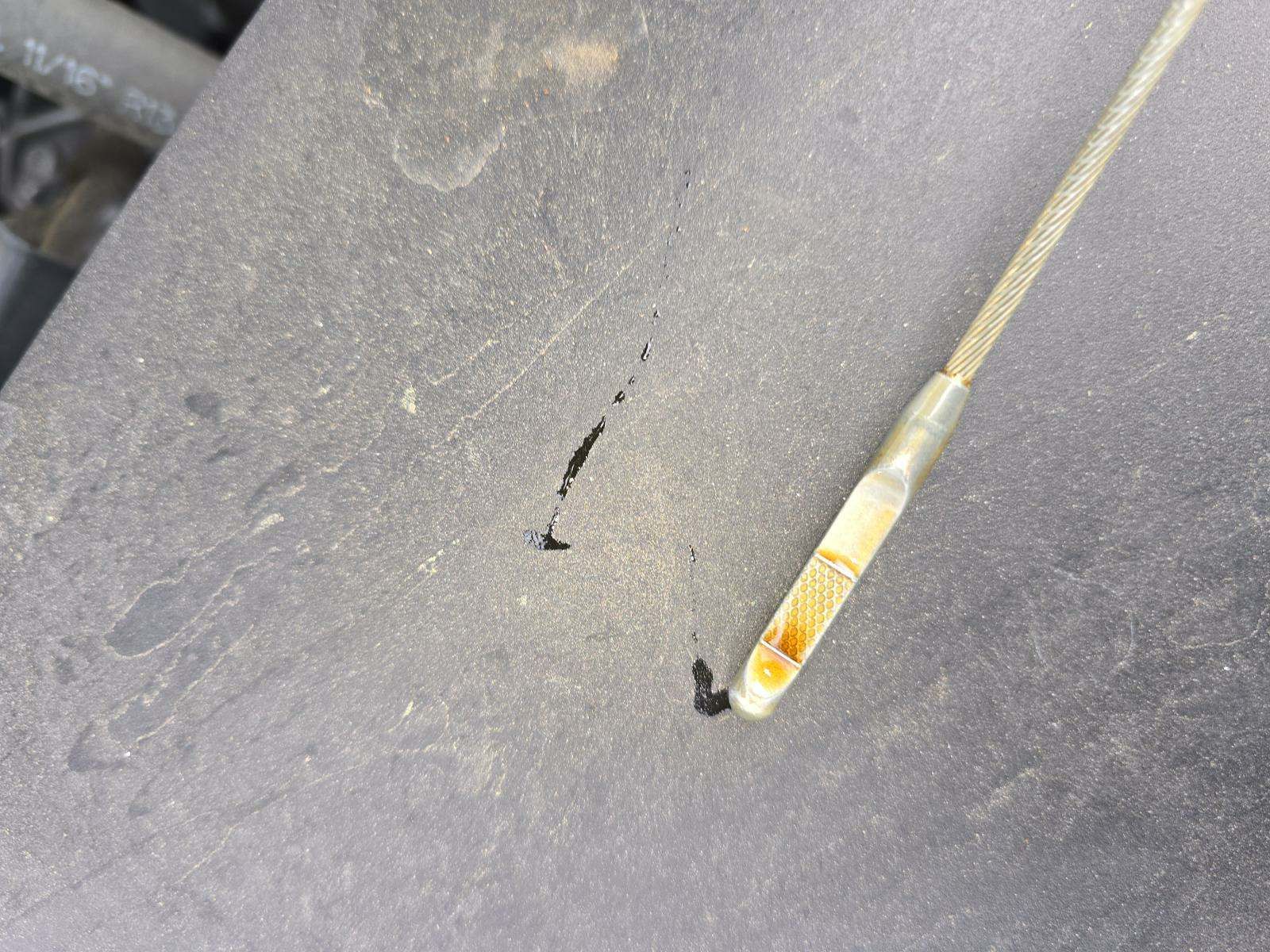 2020 Honda Odyssey EX-L FWD