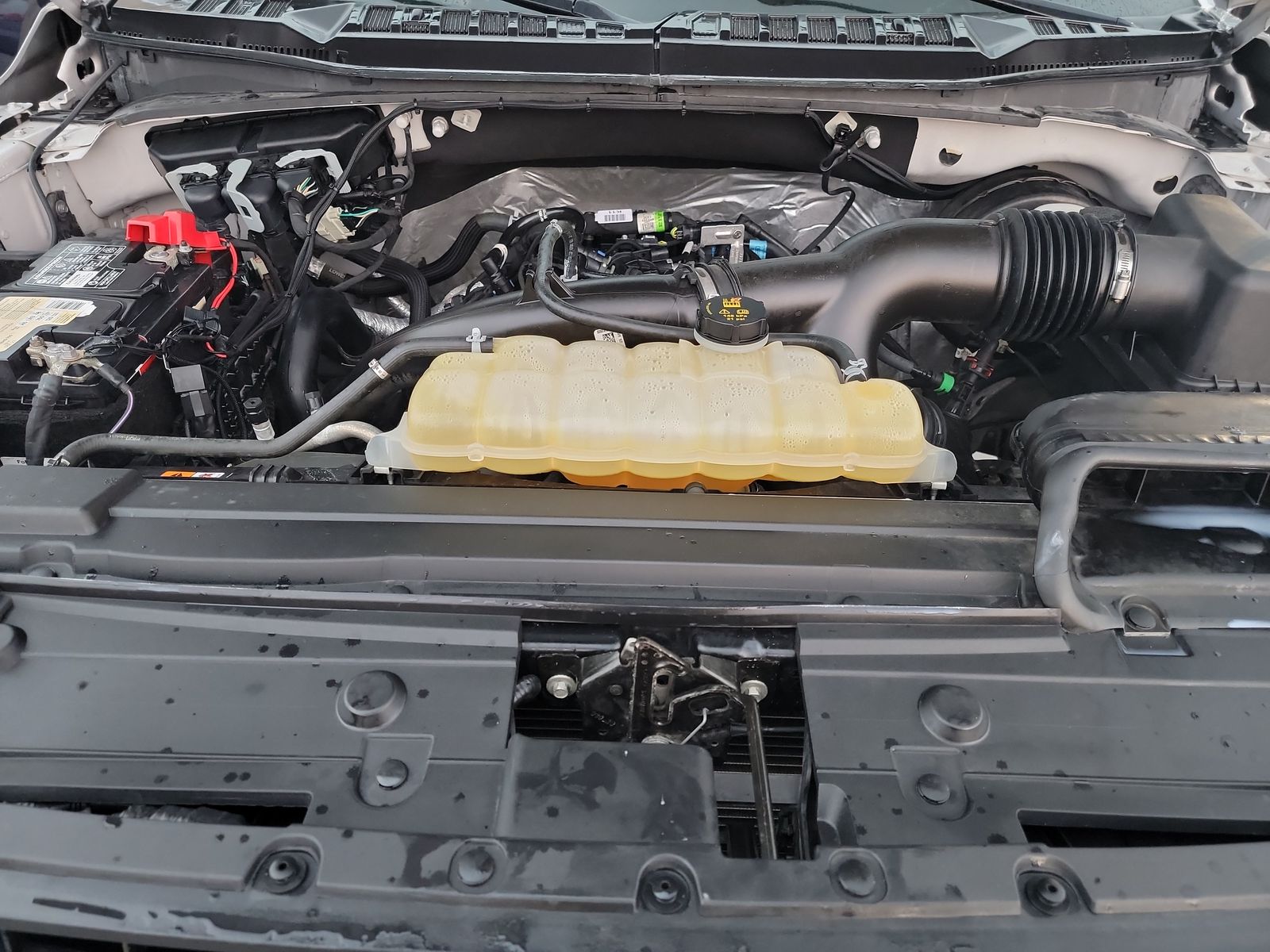 2020 Ford F-150 XLT RWD