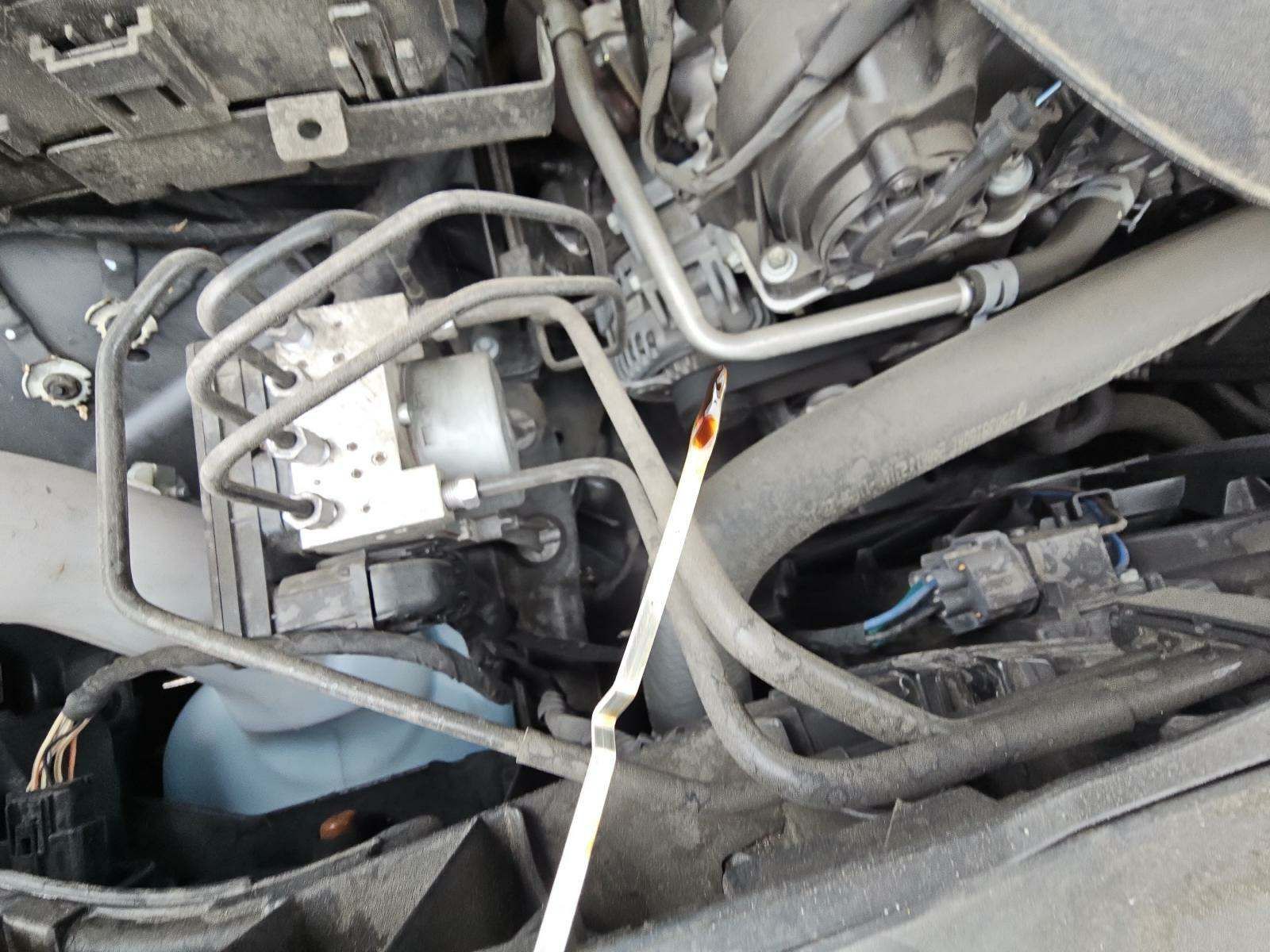 2019 Dodge Charger SXT RWD