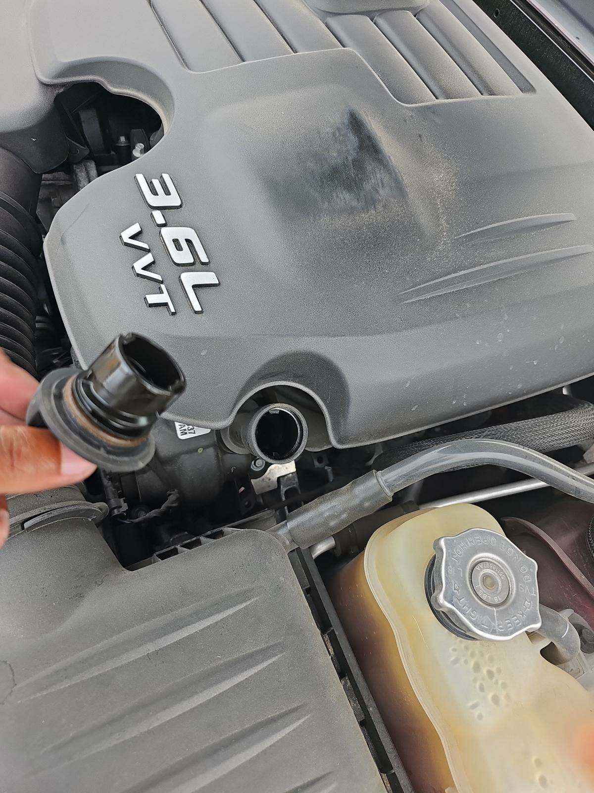 2019 Dodge Charger SXT RWD