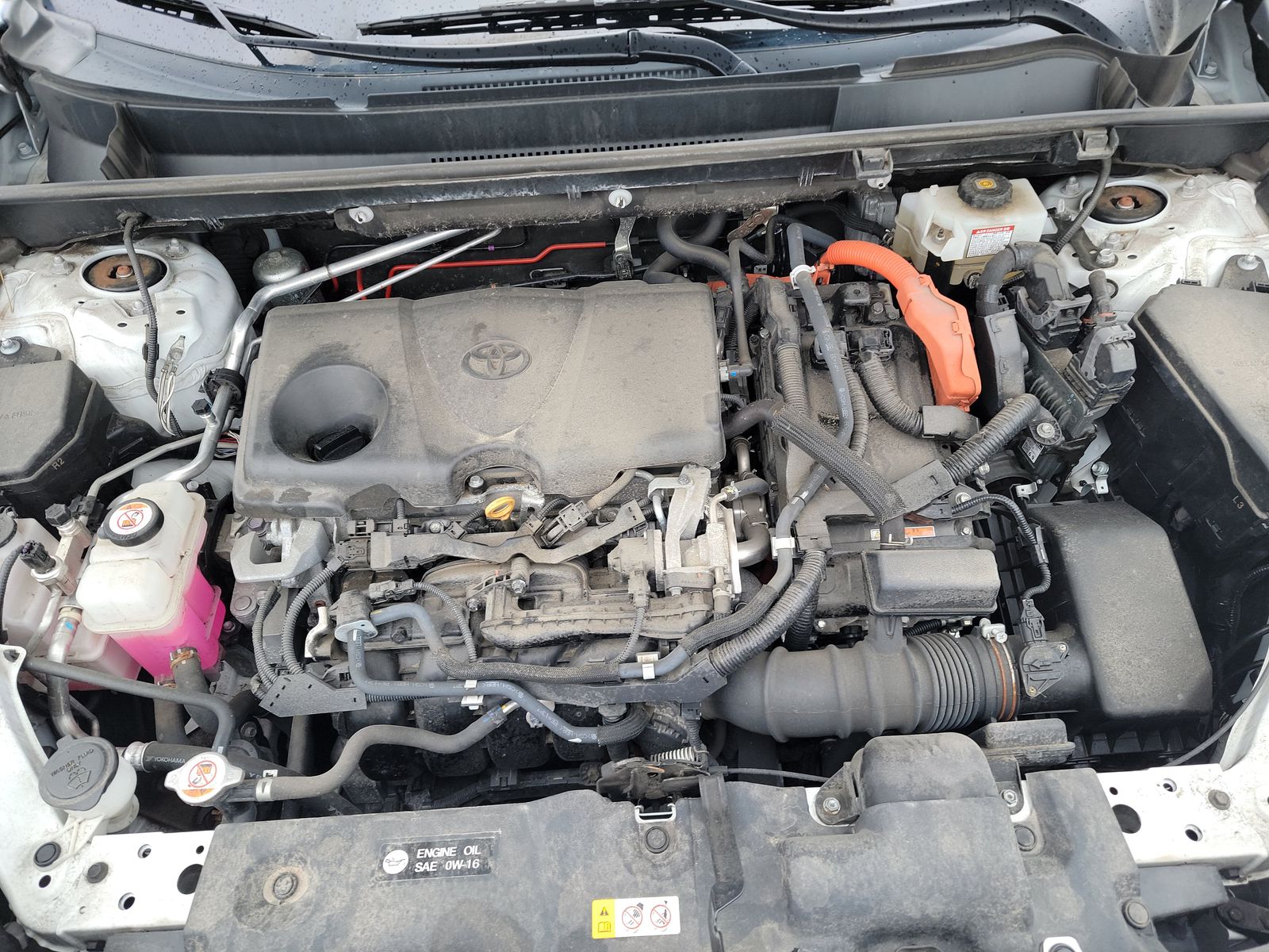 2019 Toyota RAV4 Hybrid LE AWD