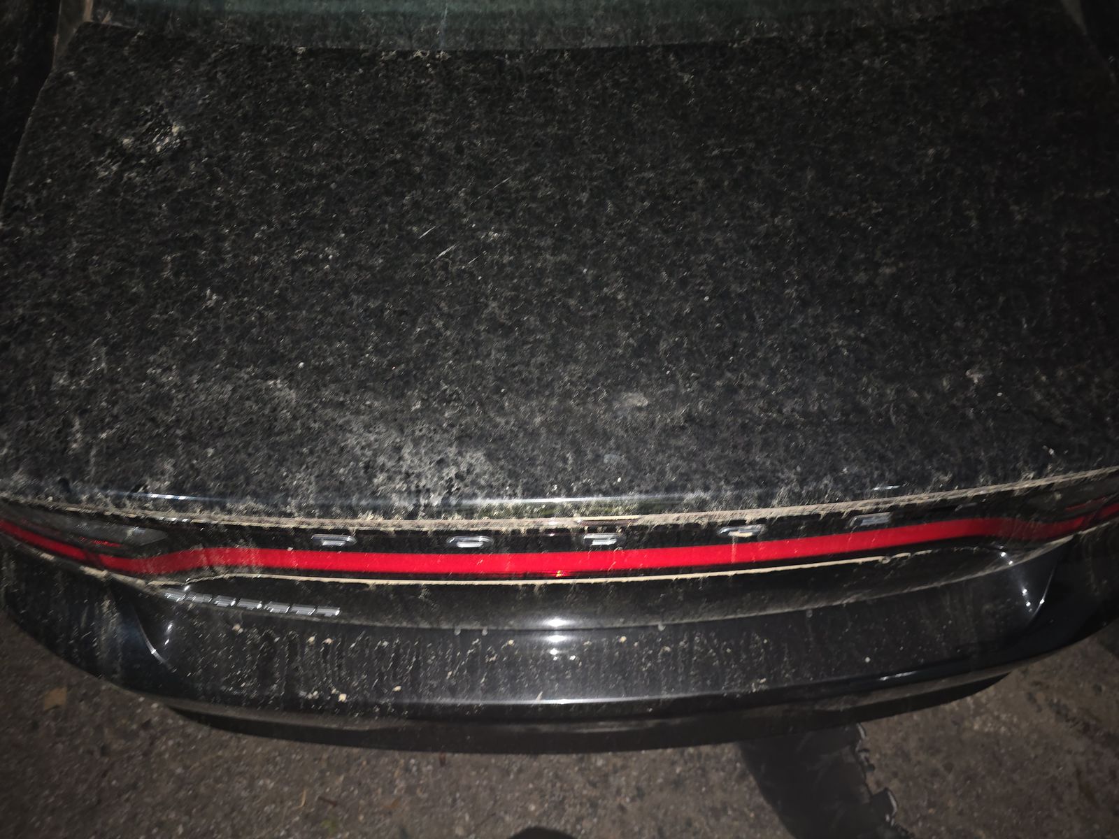 2019 Dodge Charger SXT RWD