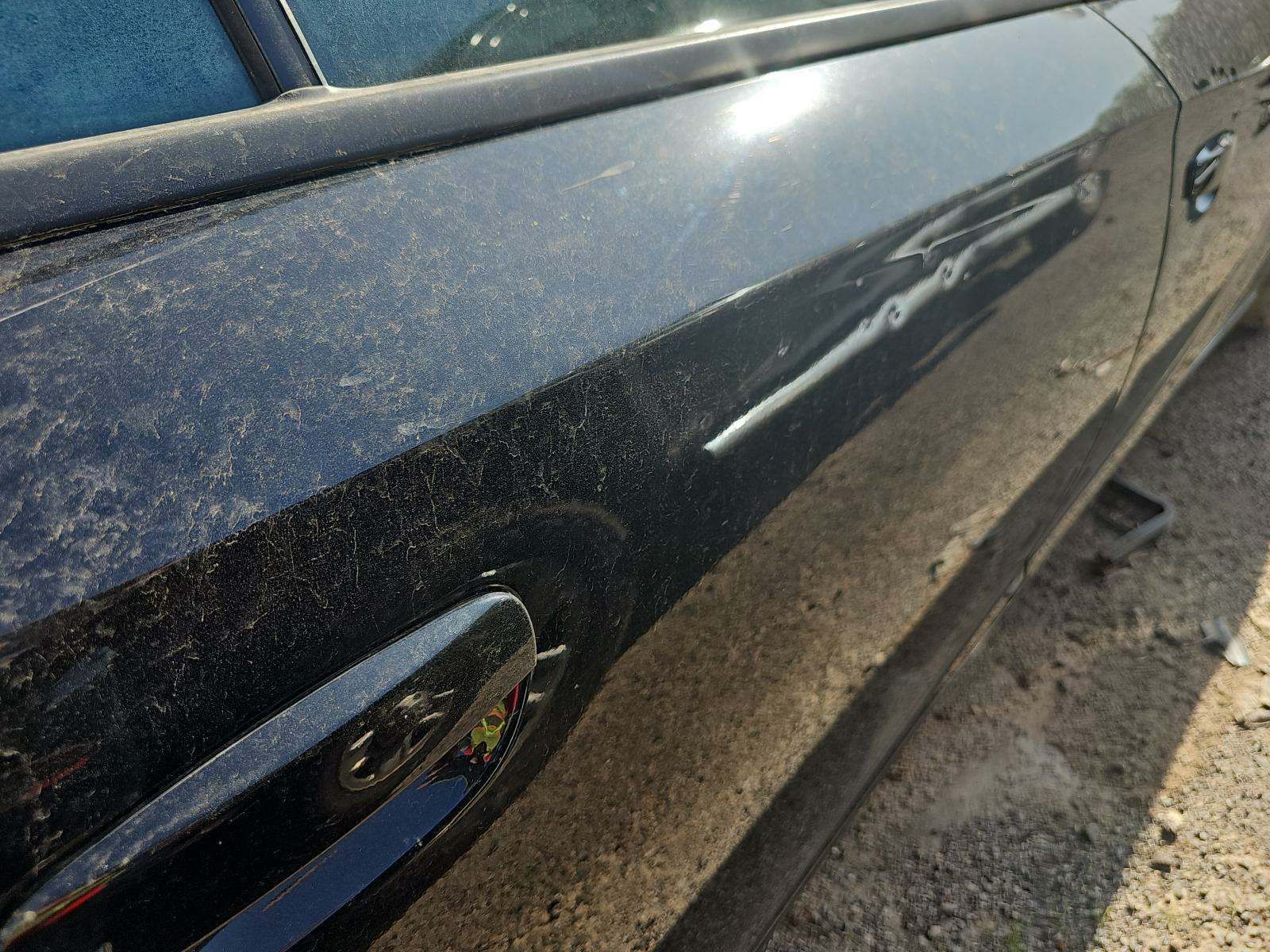 2019 Dodge Charger SXT RWD