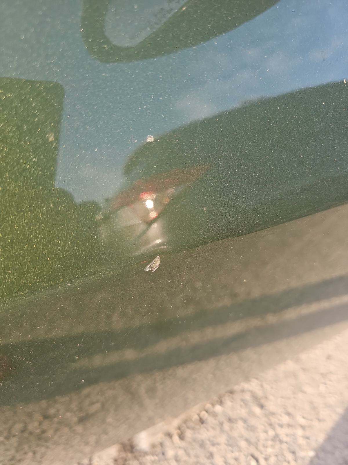 2020 Dodge Challenger GT 50th Anniversary RWD