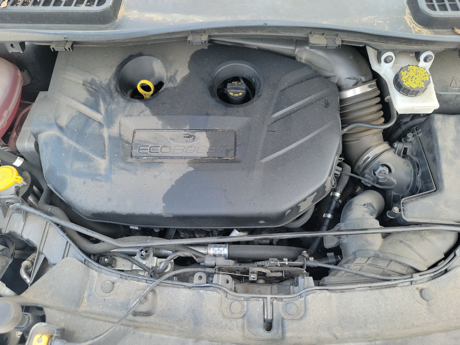 2019 Ford Escape SE FWD