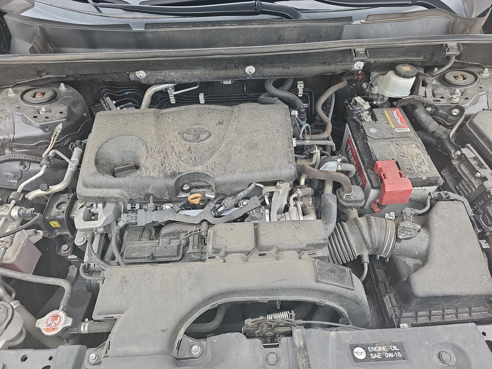 2019 Toyota RAV4 LE AWD