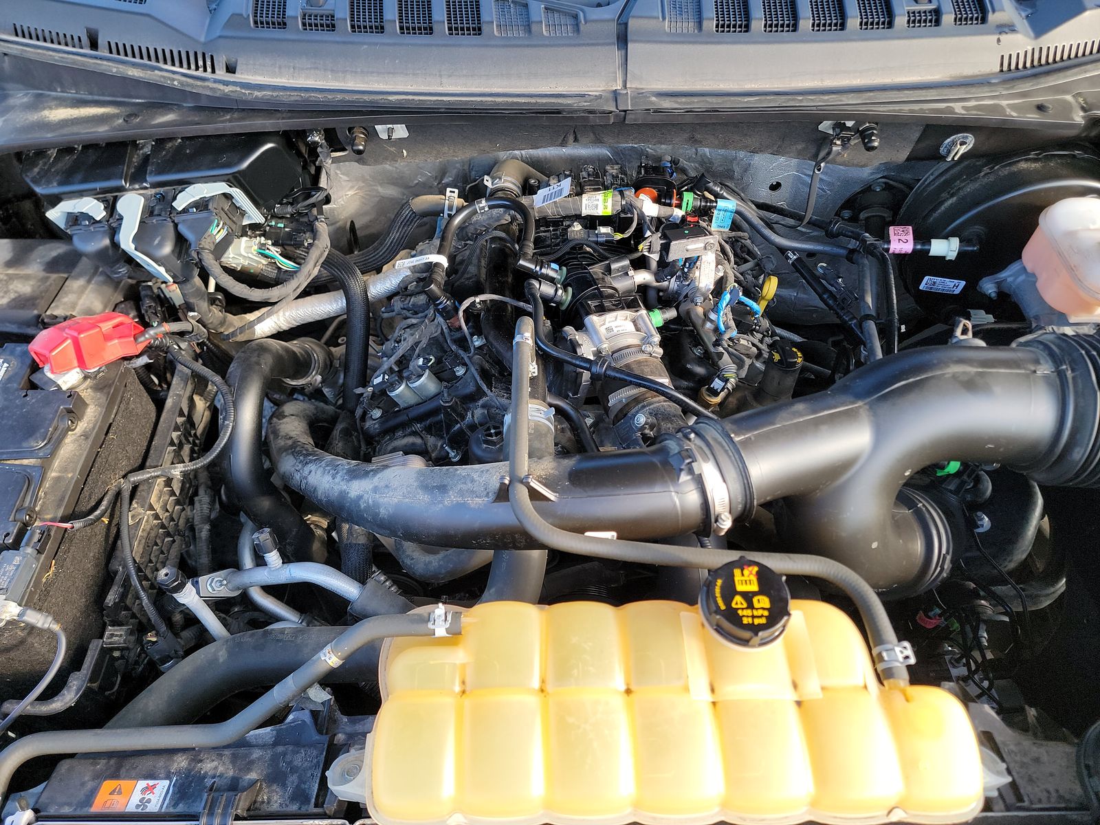 2019 Ford F-150 XL RWD