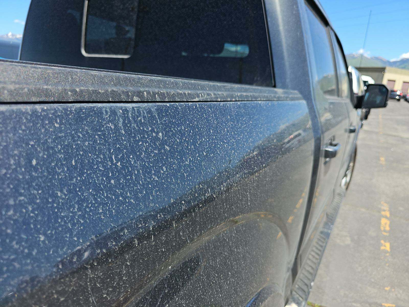 2019 Ford F-150 XLT AWD