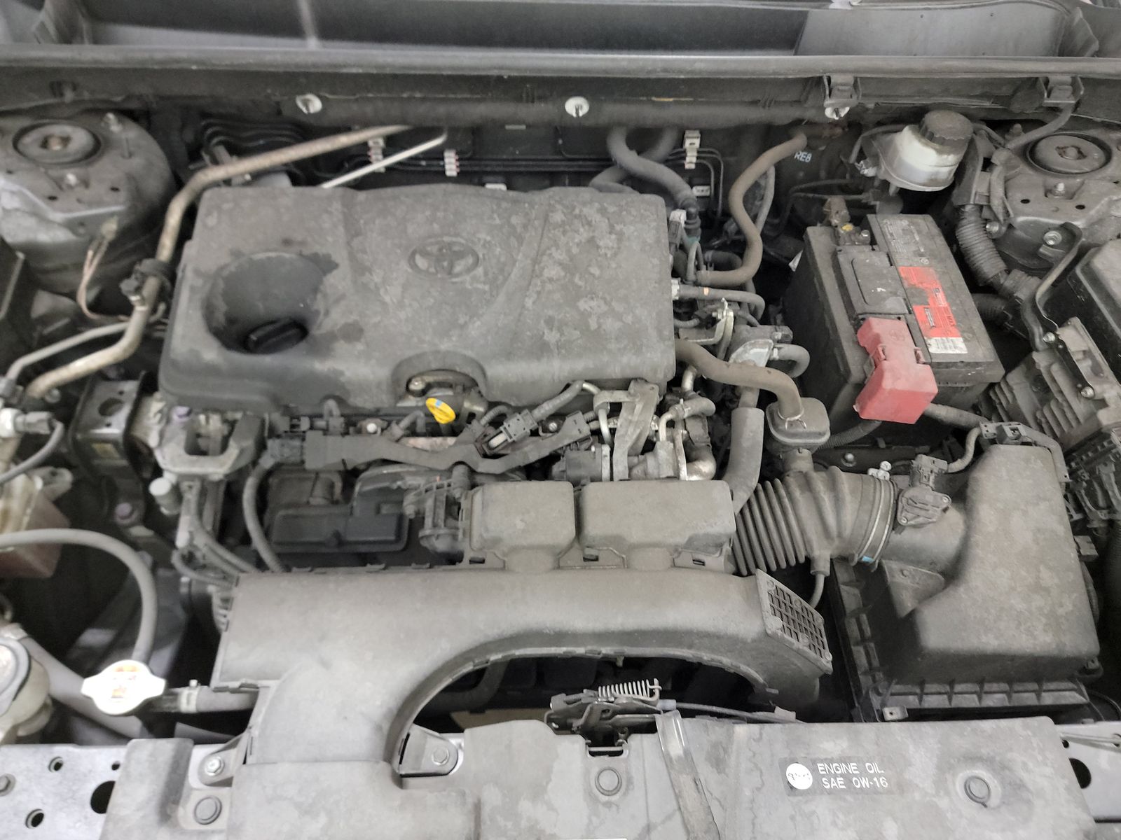 2019 Toyota RAV4 LE FWD