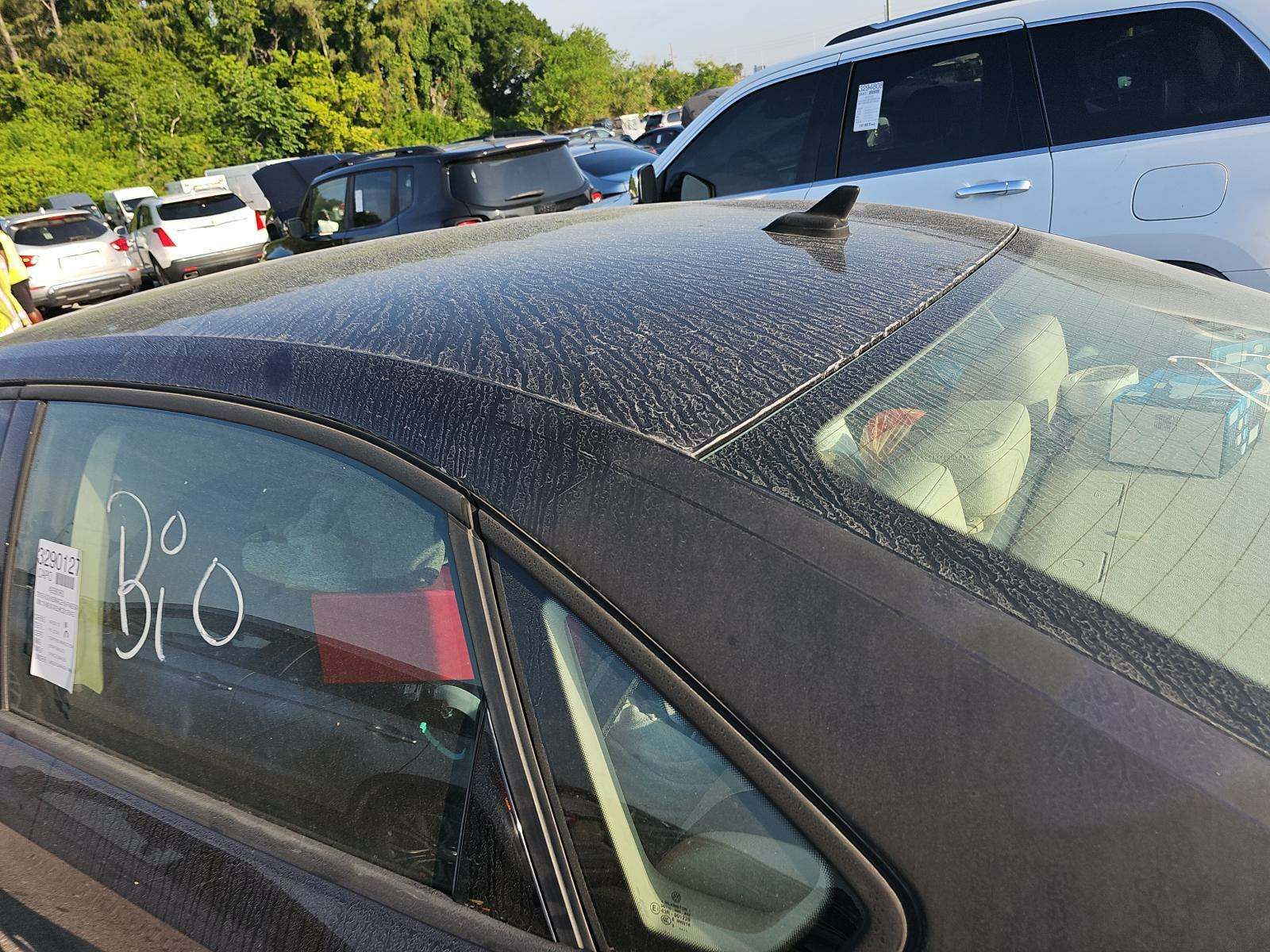 2019 Volkswagen Passat 2.0T Wolfsburg Edition FWD