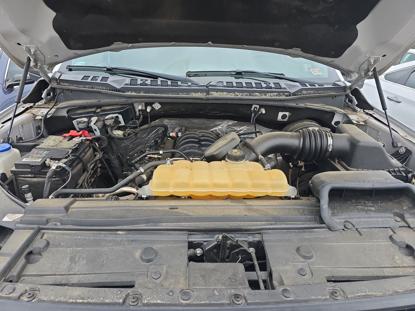 2019 Ford F-150 XLT RWD