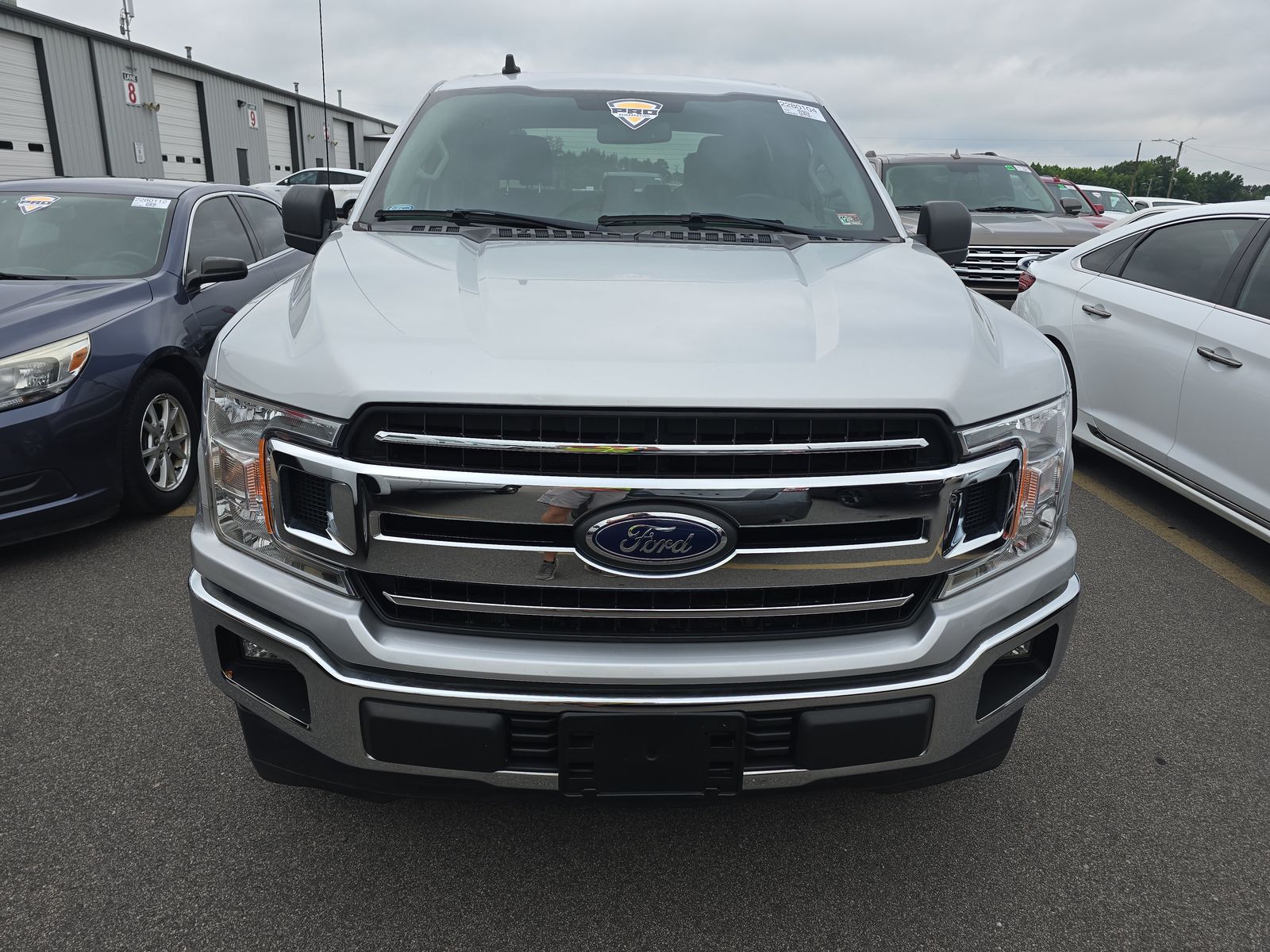 2019 Ford F-150 XLT RWD