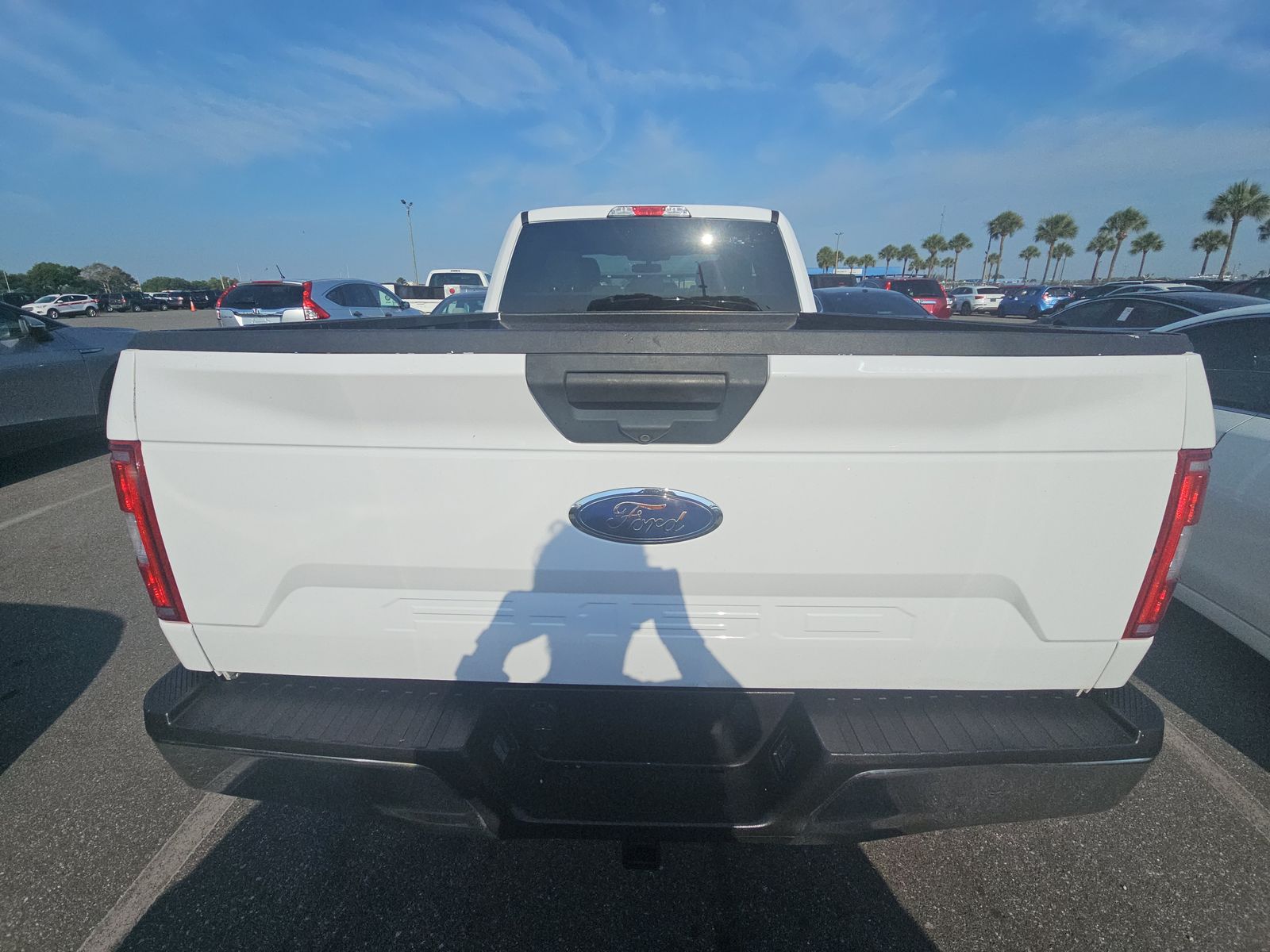 2019 Ford F-150 XLT RWD