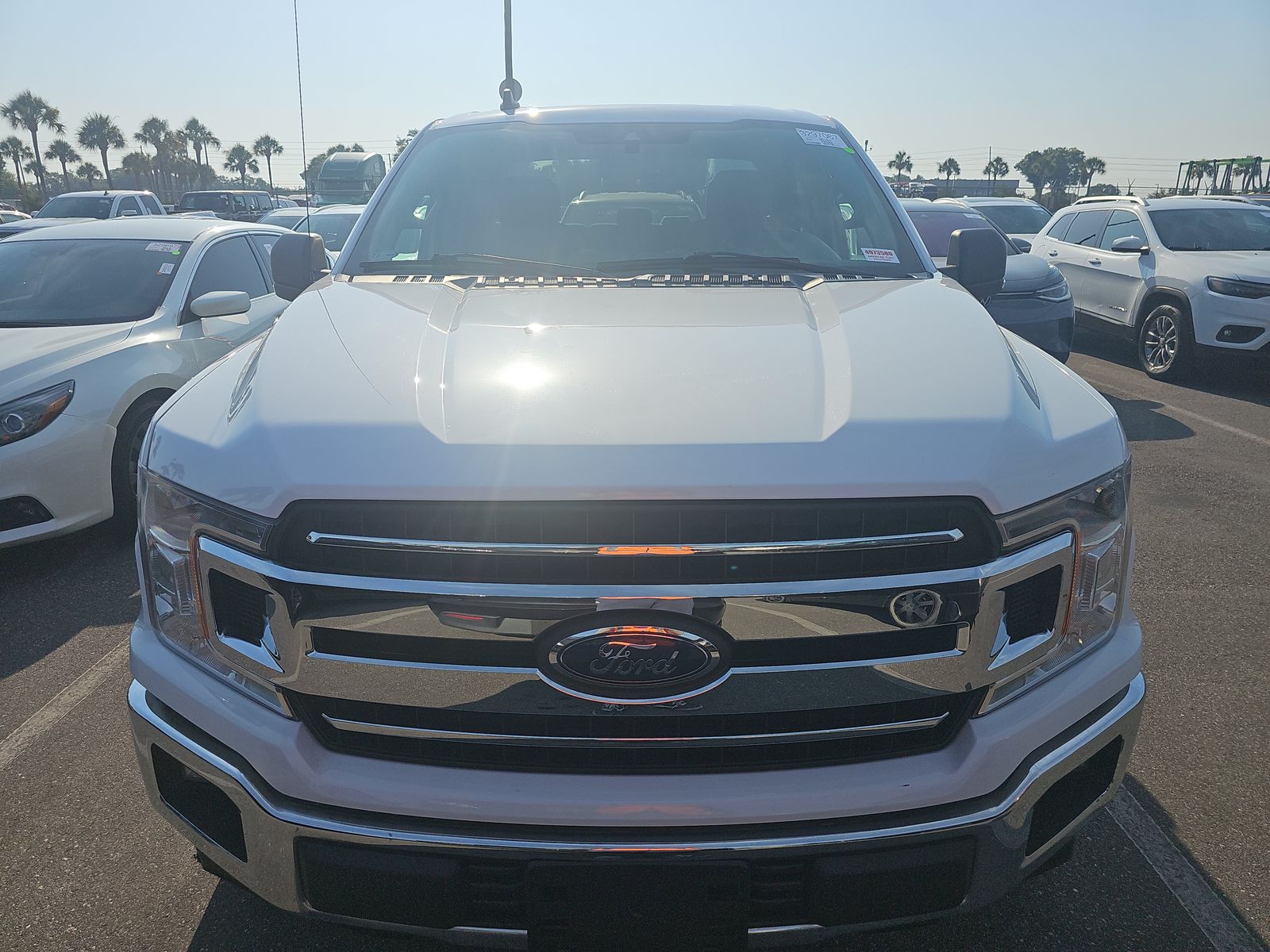 2019 Ford F-150 XLT RWD