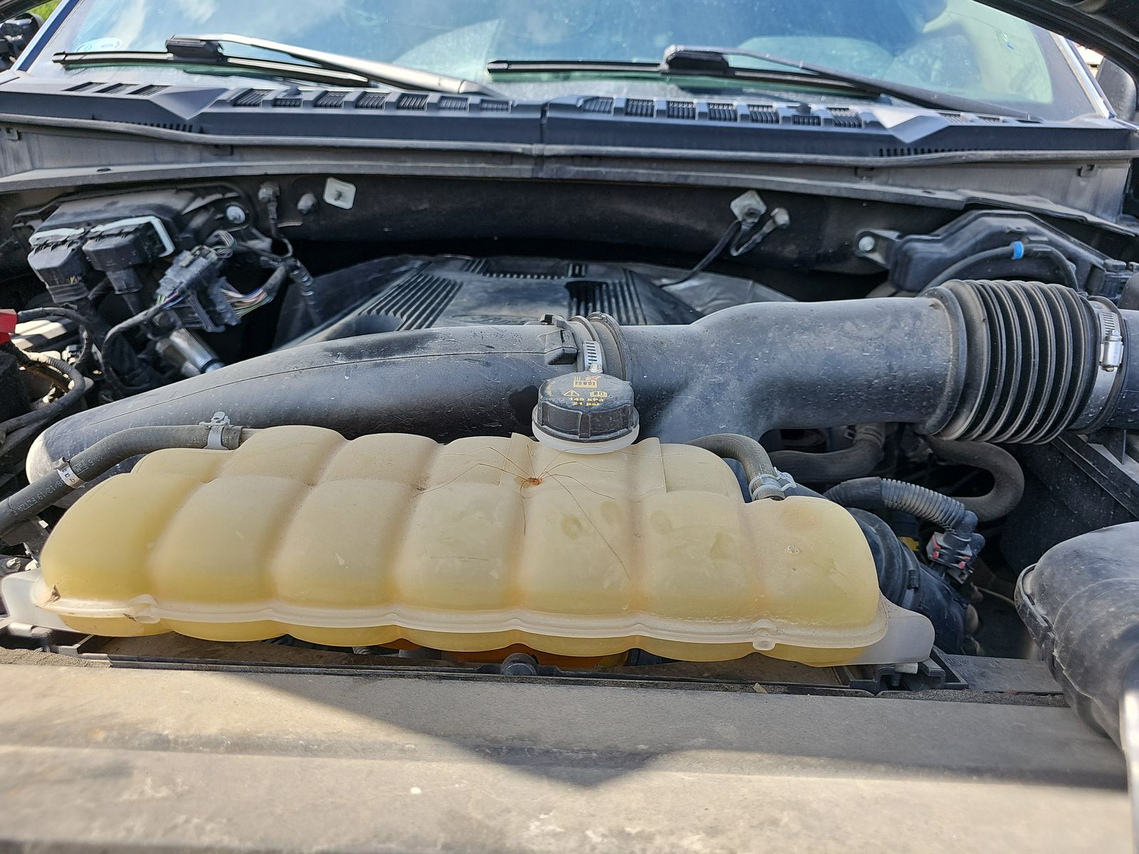 2019 Ford F-150 XLT AWD