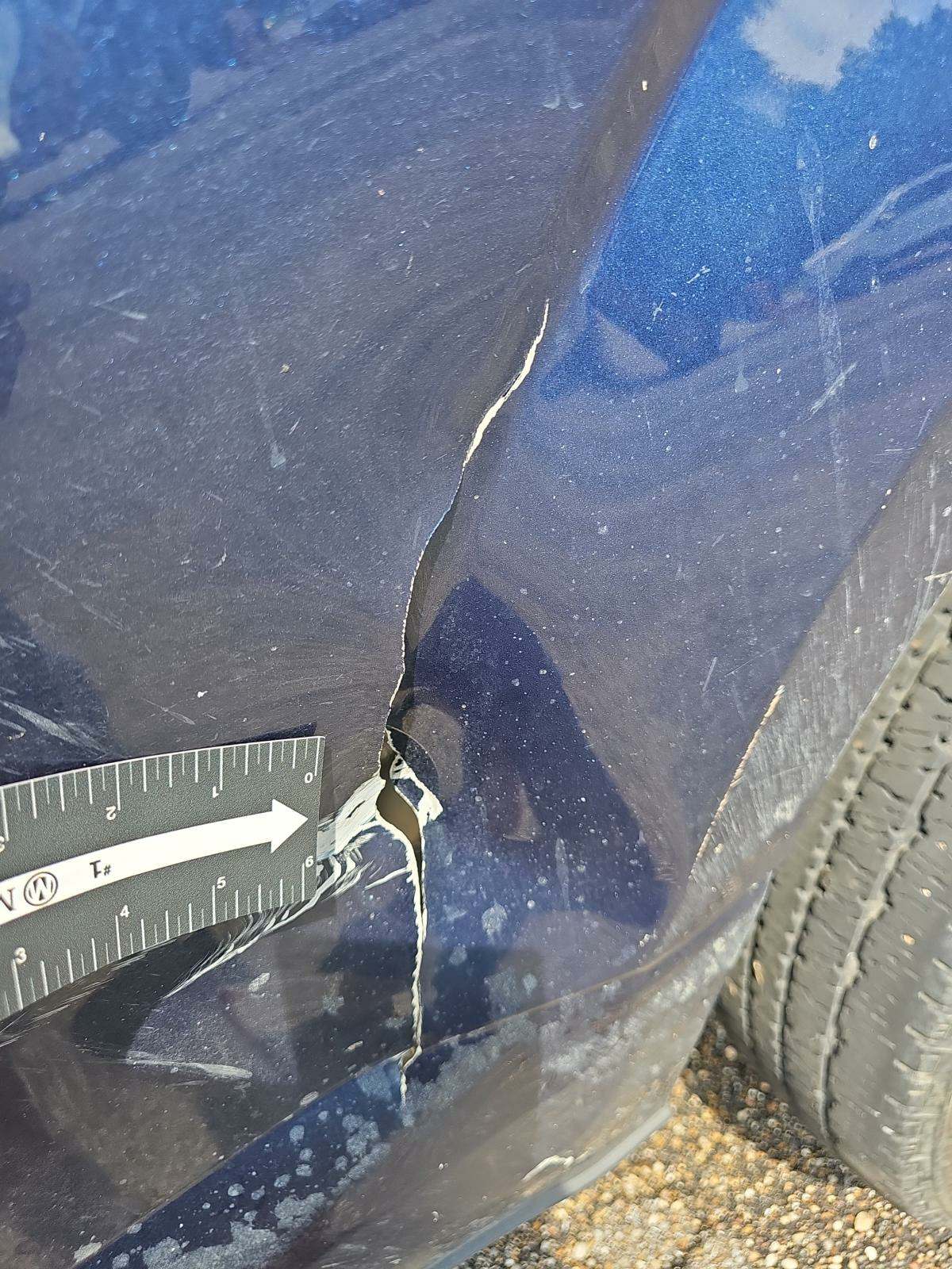 2019 Ford F-150 XLT AWD