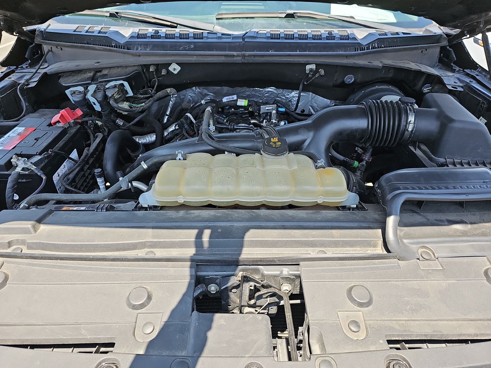 2019 Ford F-150 XLT RWD