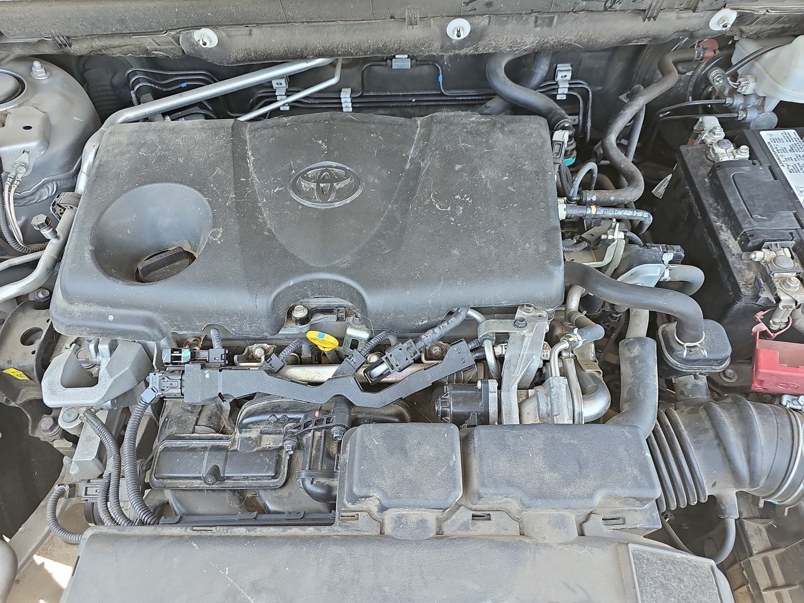 2019 Toyota RAV4 XLE FWD