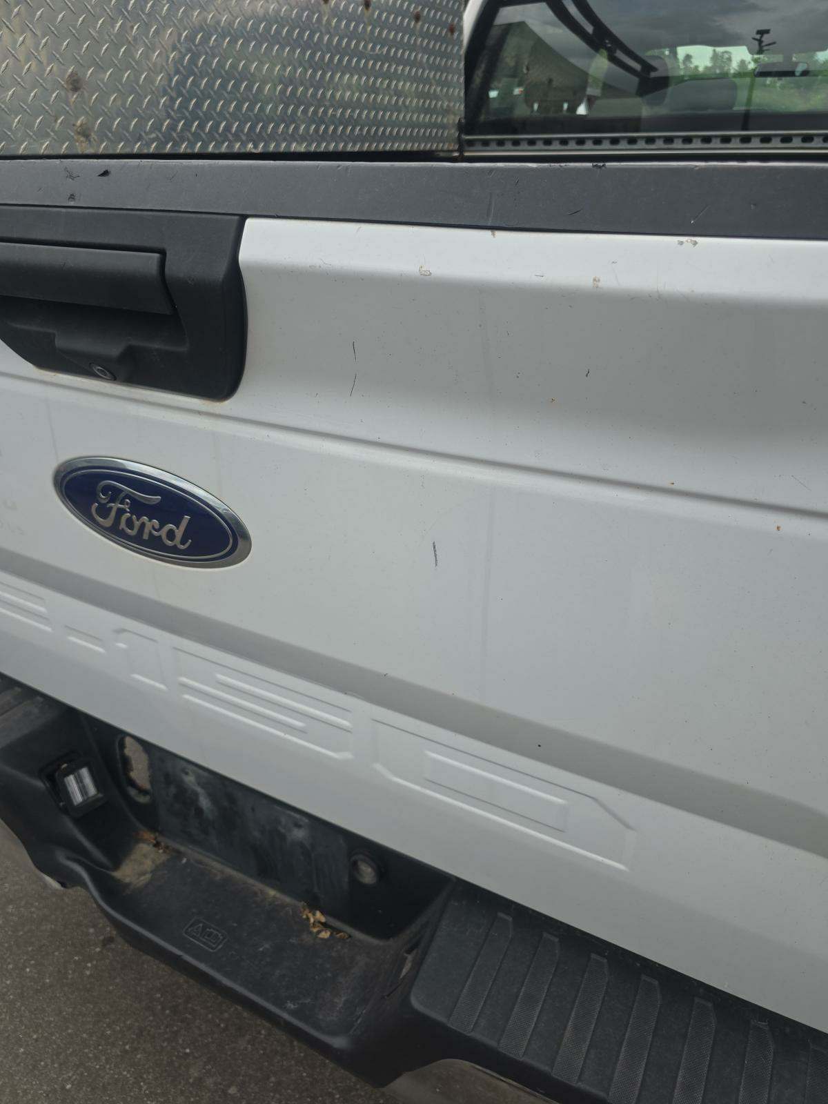 2019 Ford F-150 XL RWD