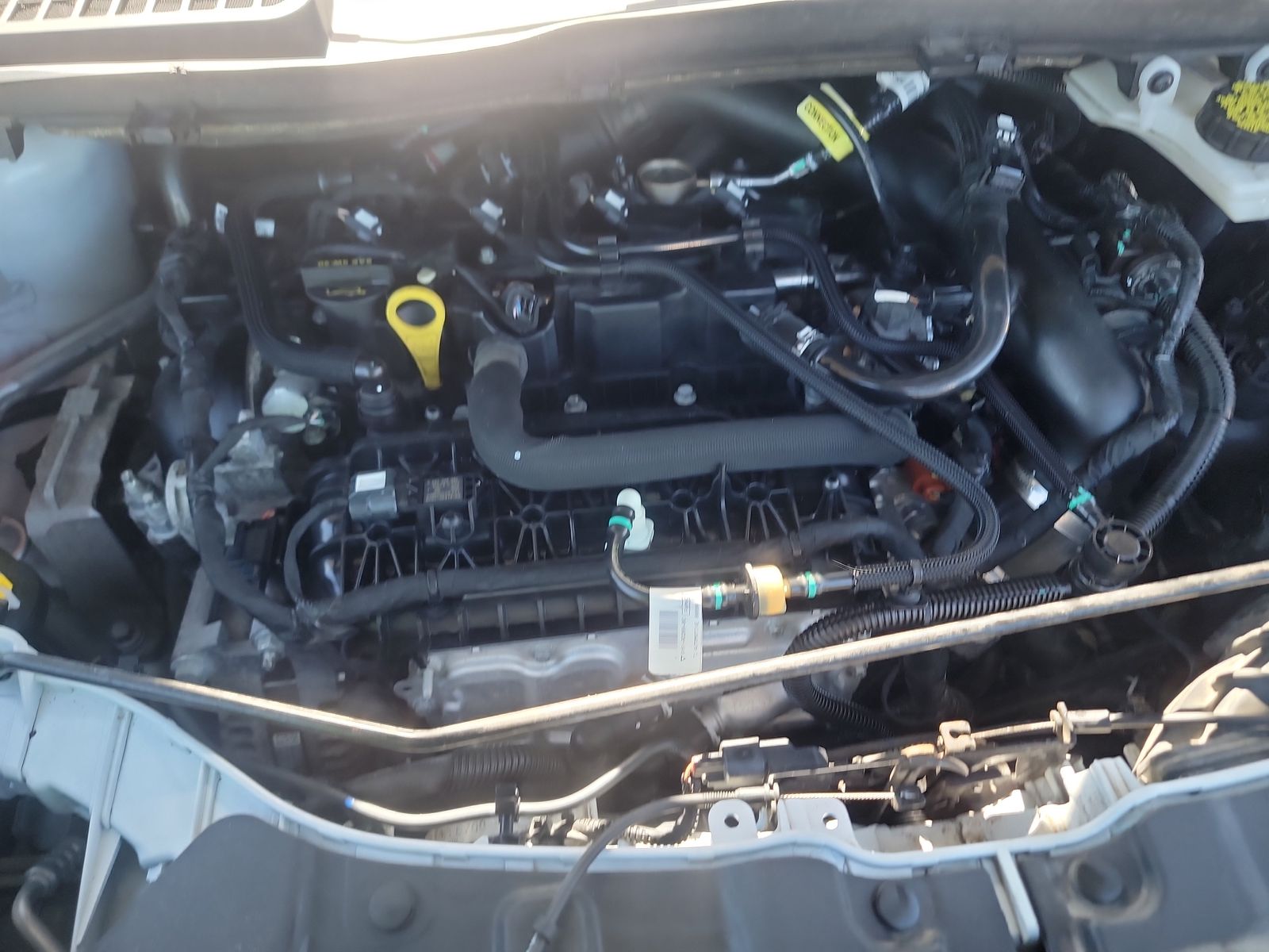 2019 Ford Escape SE AWD