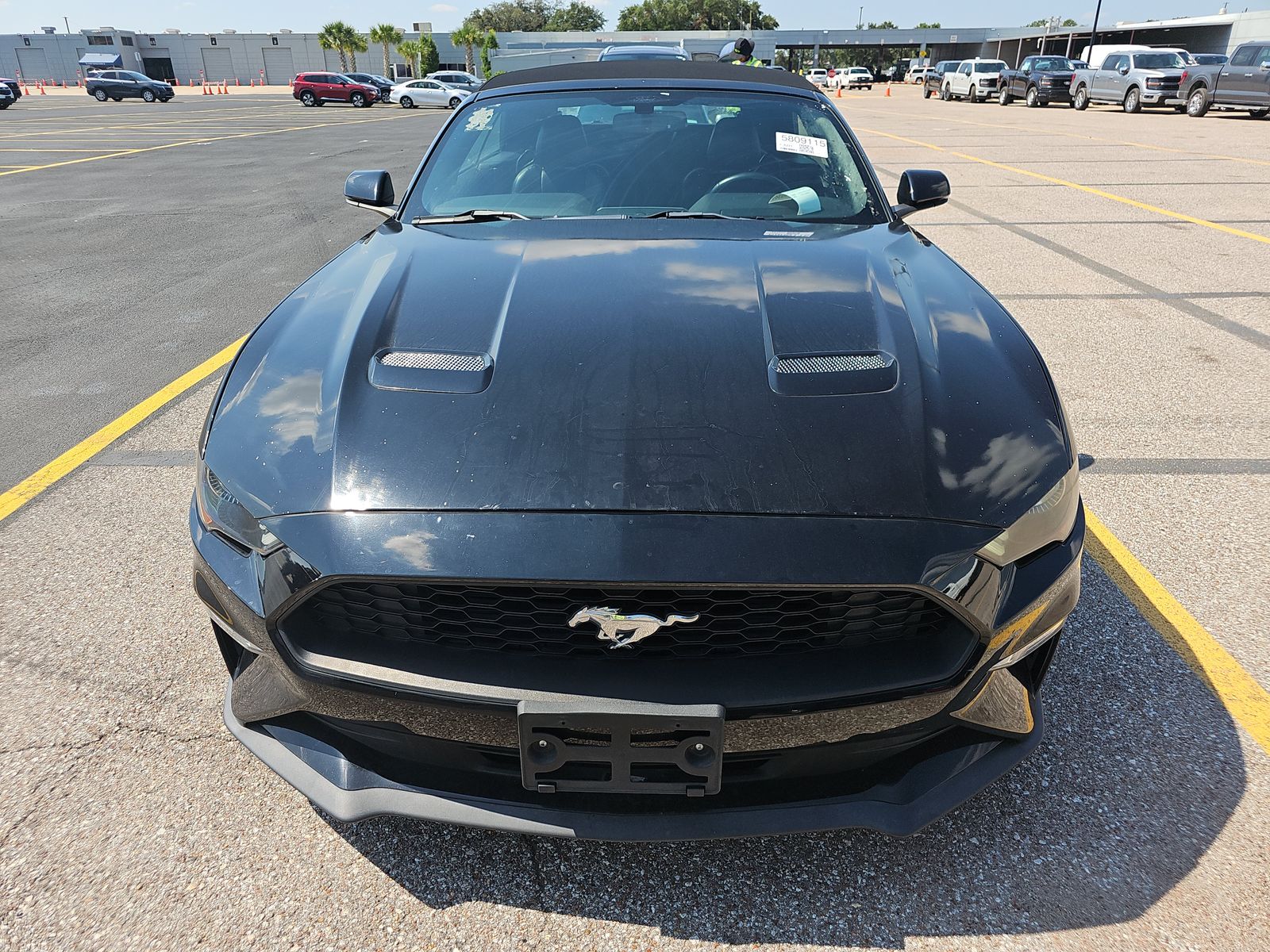 2020 Ford Mustang EcoBoost Premium RWD