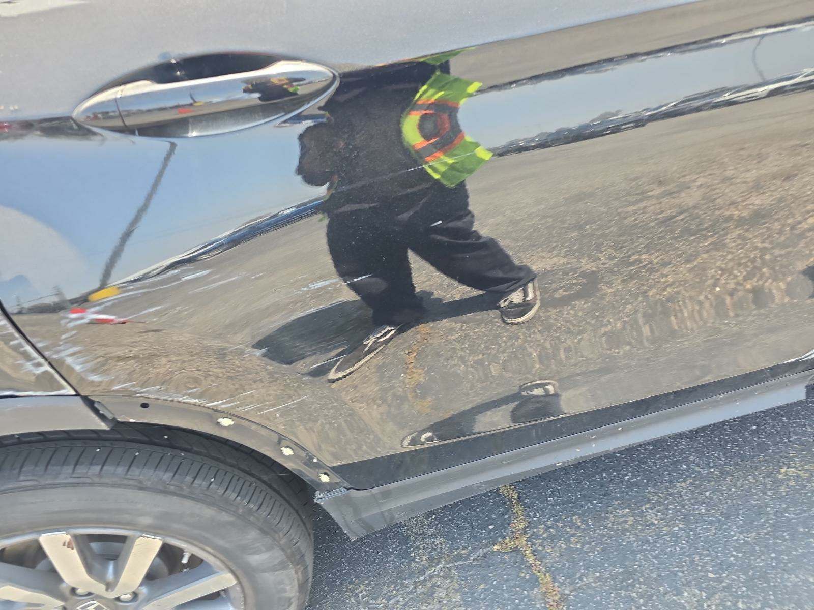 2019 Honda Pilot EX-L FWD