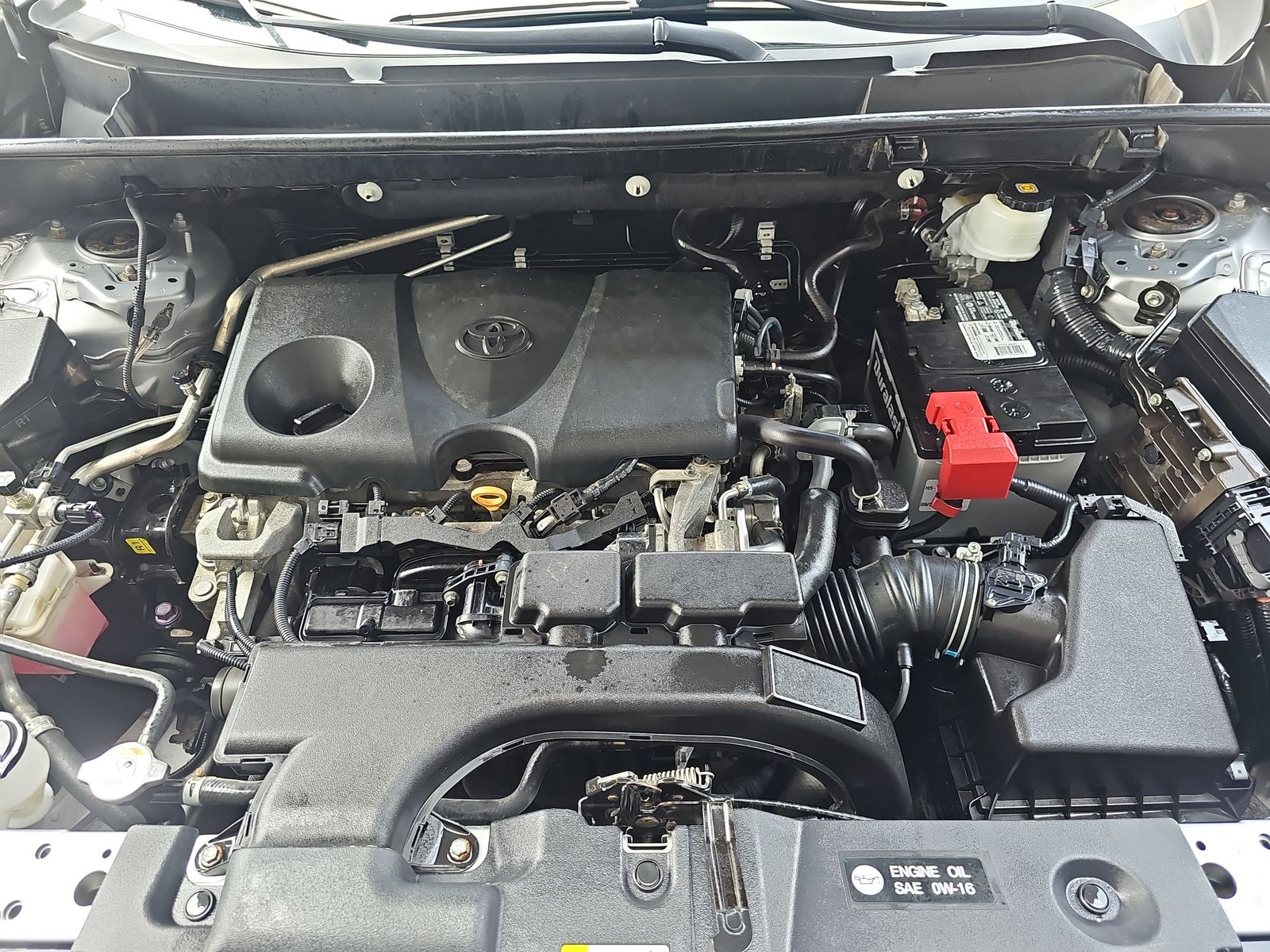 2019 Toyota RAV4 XLE AWD