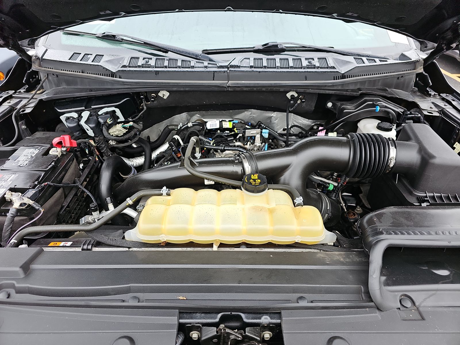 2019 Ford F-150 XLT AWD