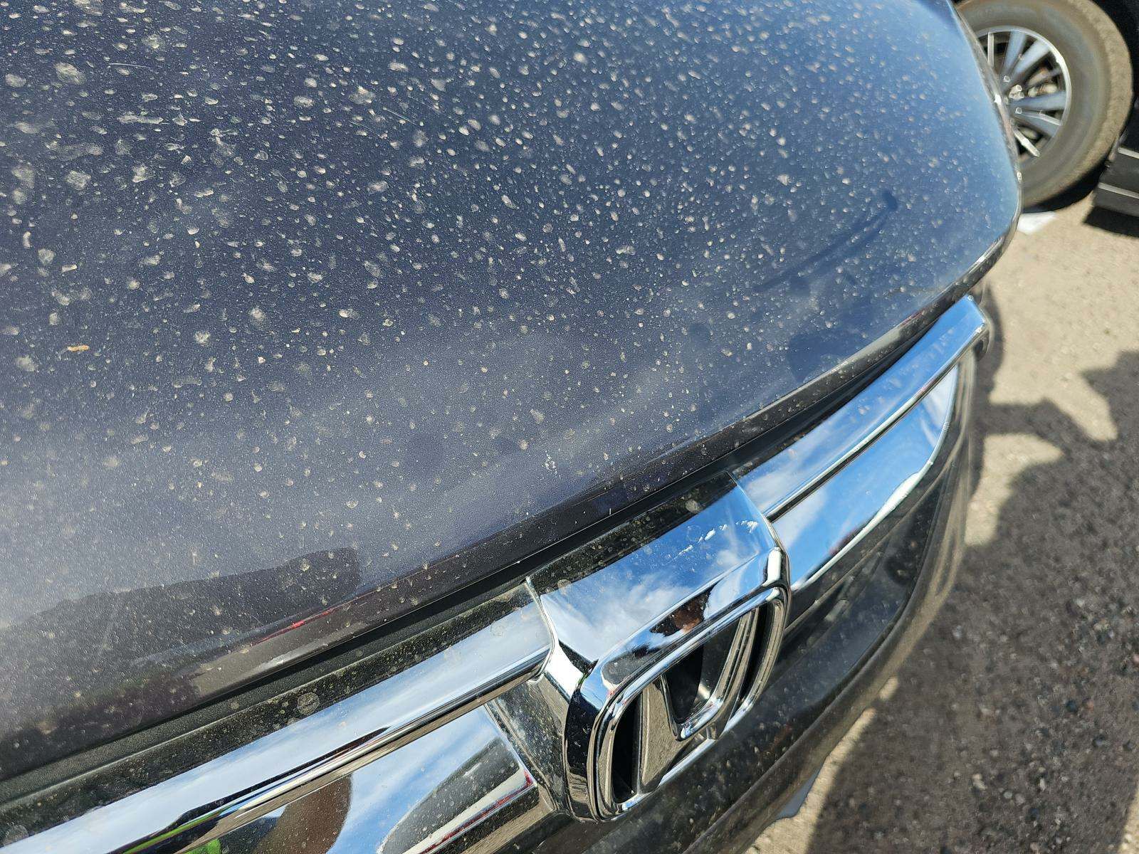2018 Honda CR-V EX FWD