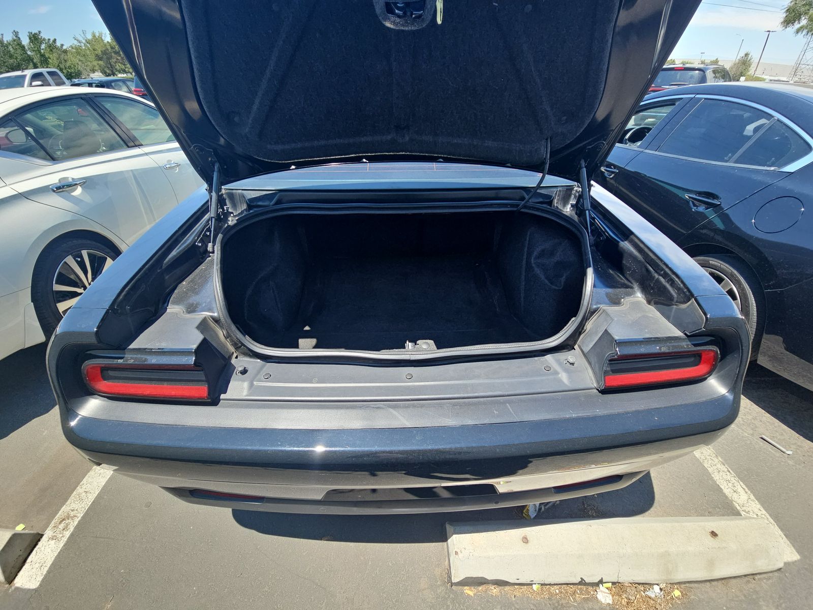 2019 Dodge Challenger R/T RWD