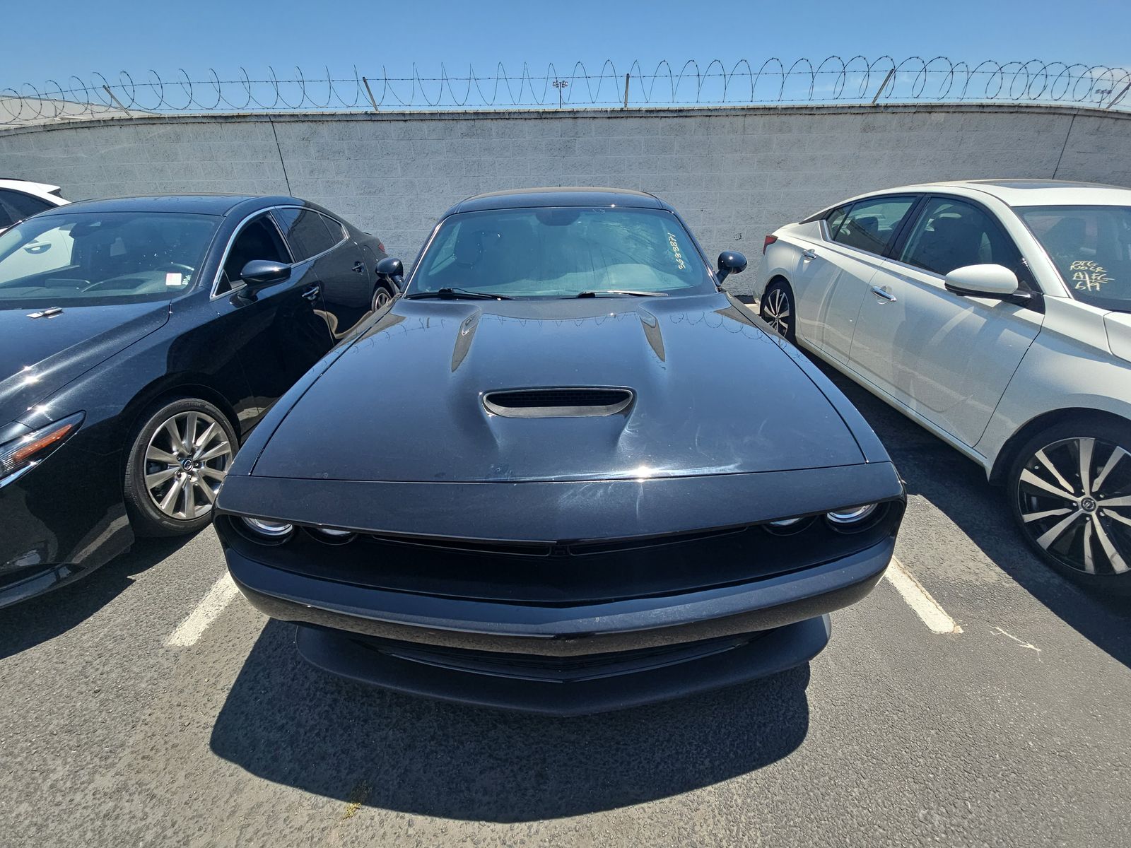 2019 Dodge Challenger R/T RWD