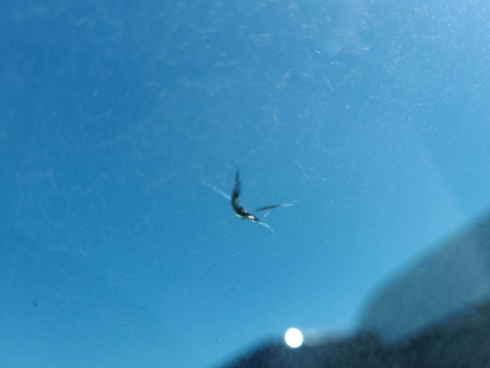 2015 Toyota Avalon XLE Touring FWD