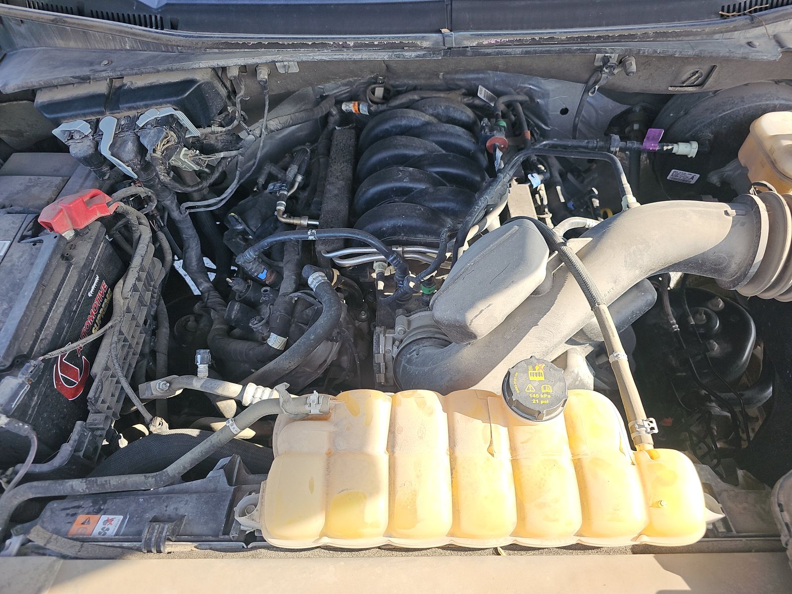 2020 Ford F-150 XLT RWD