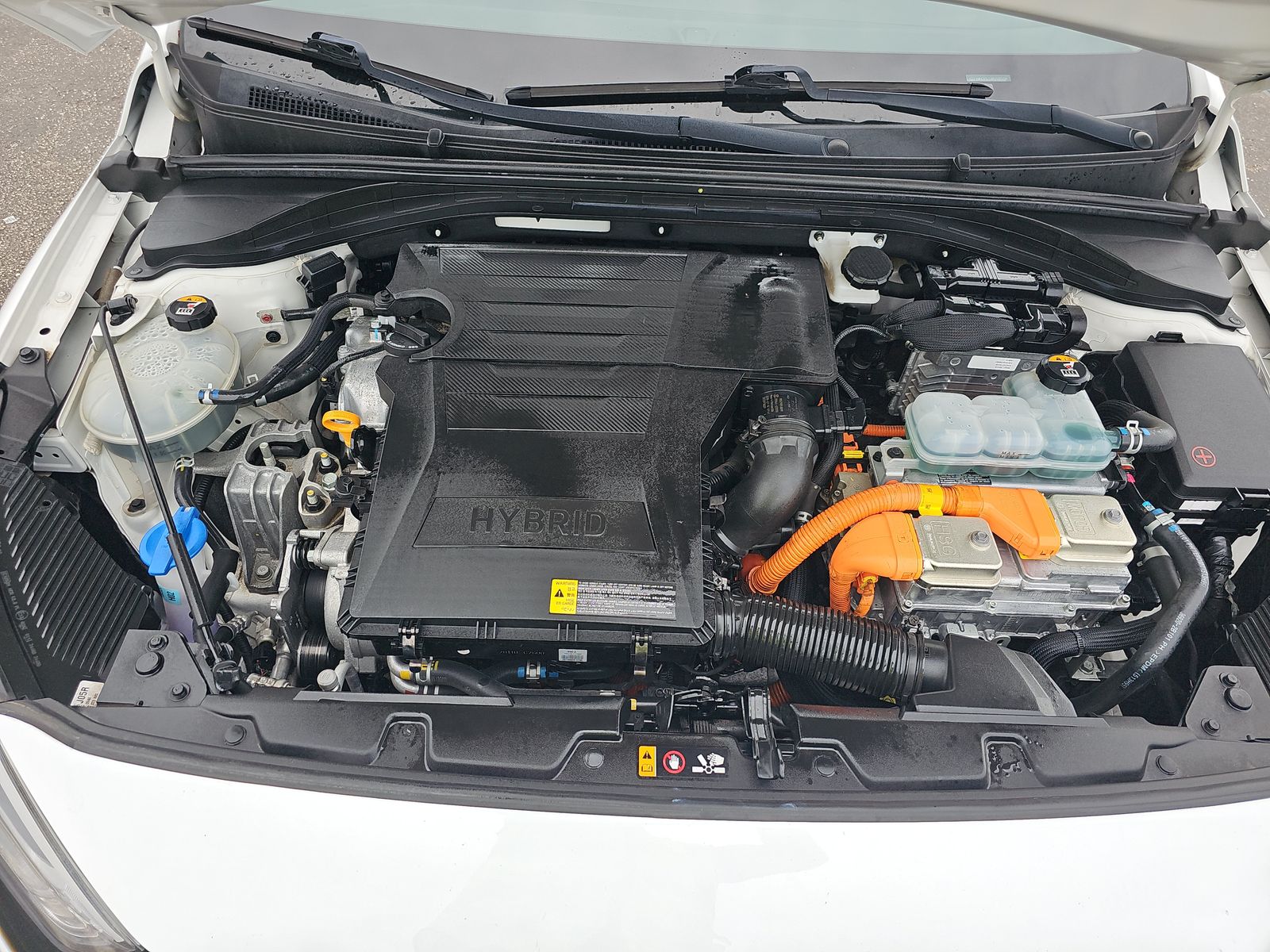 2019 Hyundai Ioniq Hybrid Blue FWD