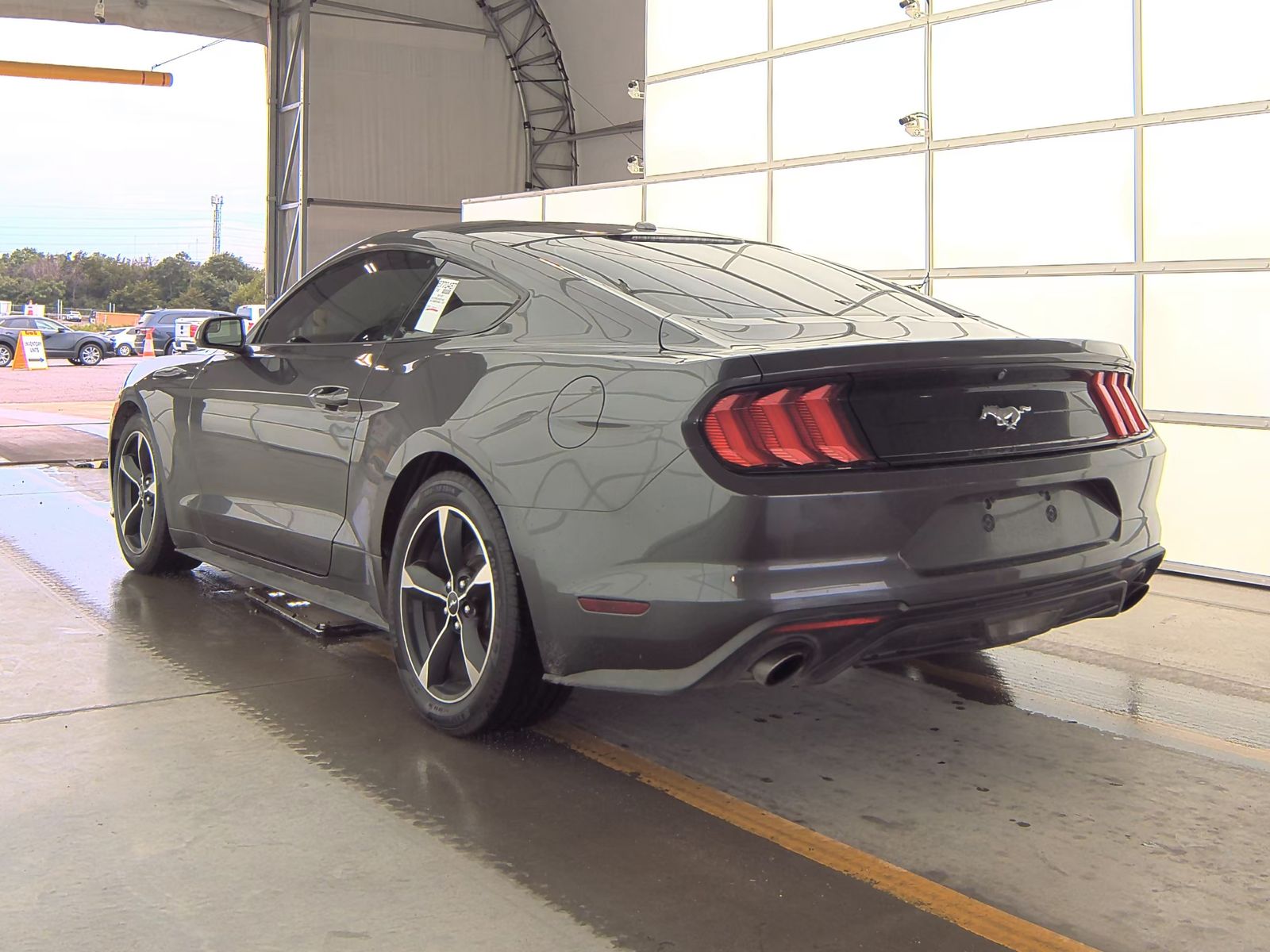 2019 Ford Mustang EcoBoost RWD