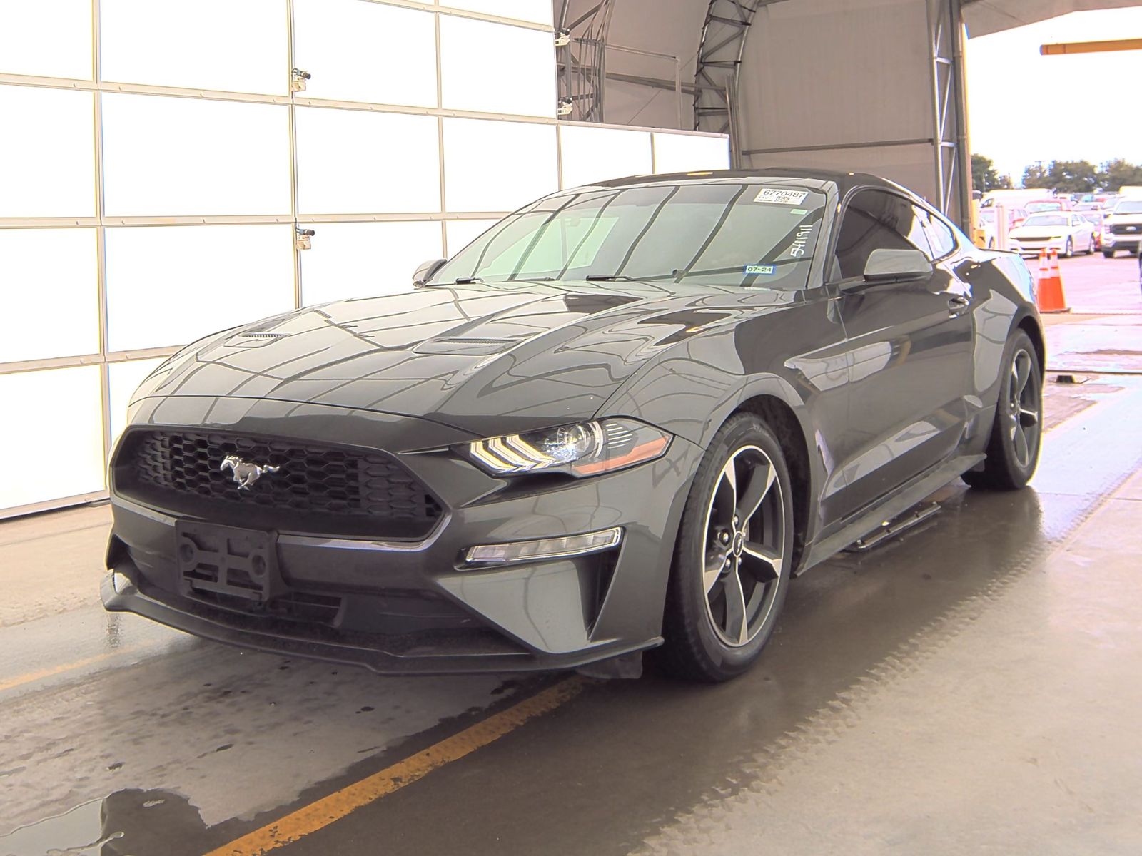 2019 Ford Mustang EcoBoost RWD