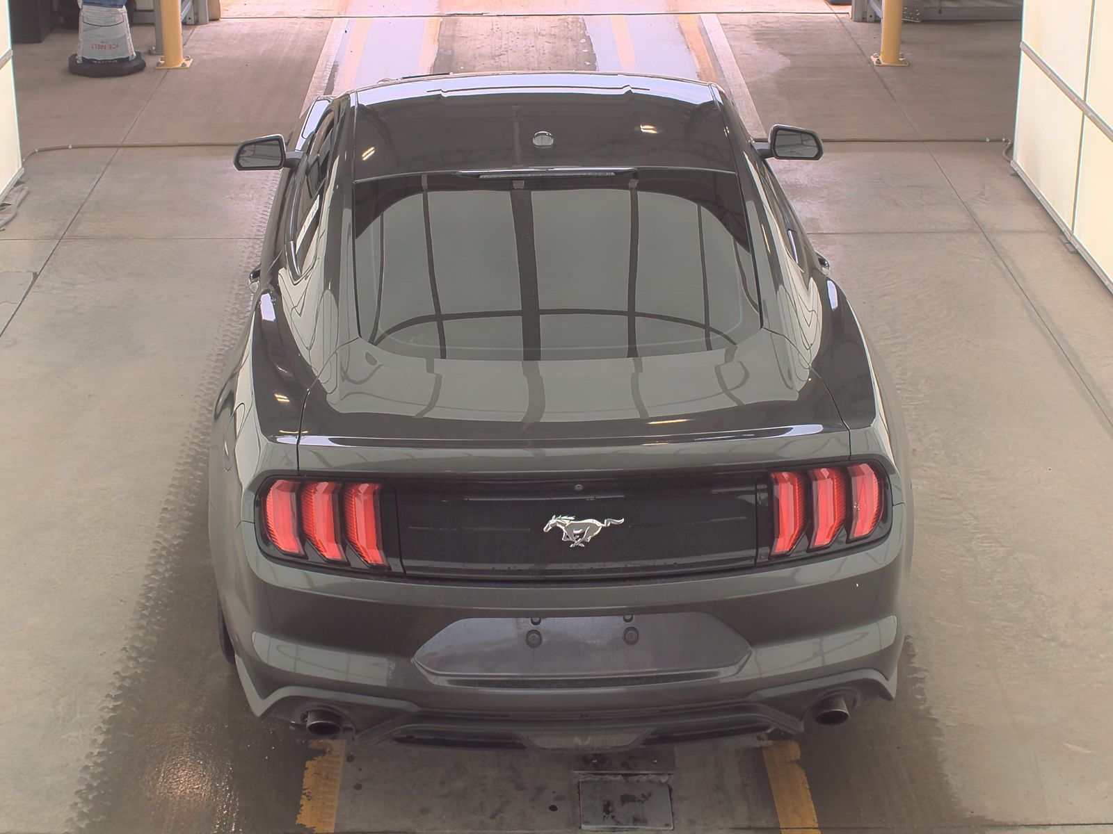 2019 Ford Mustang EcoBoost RWD